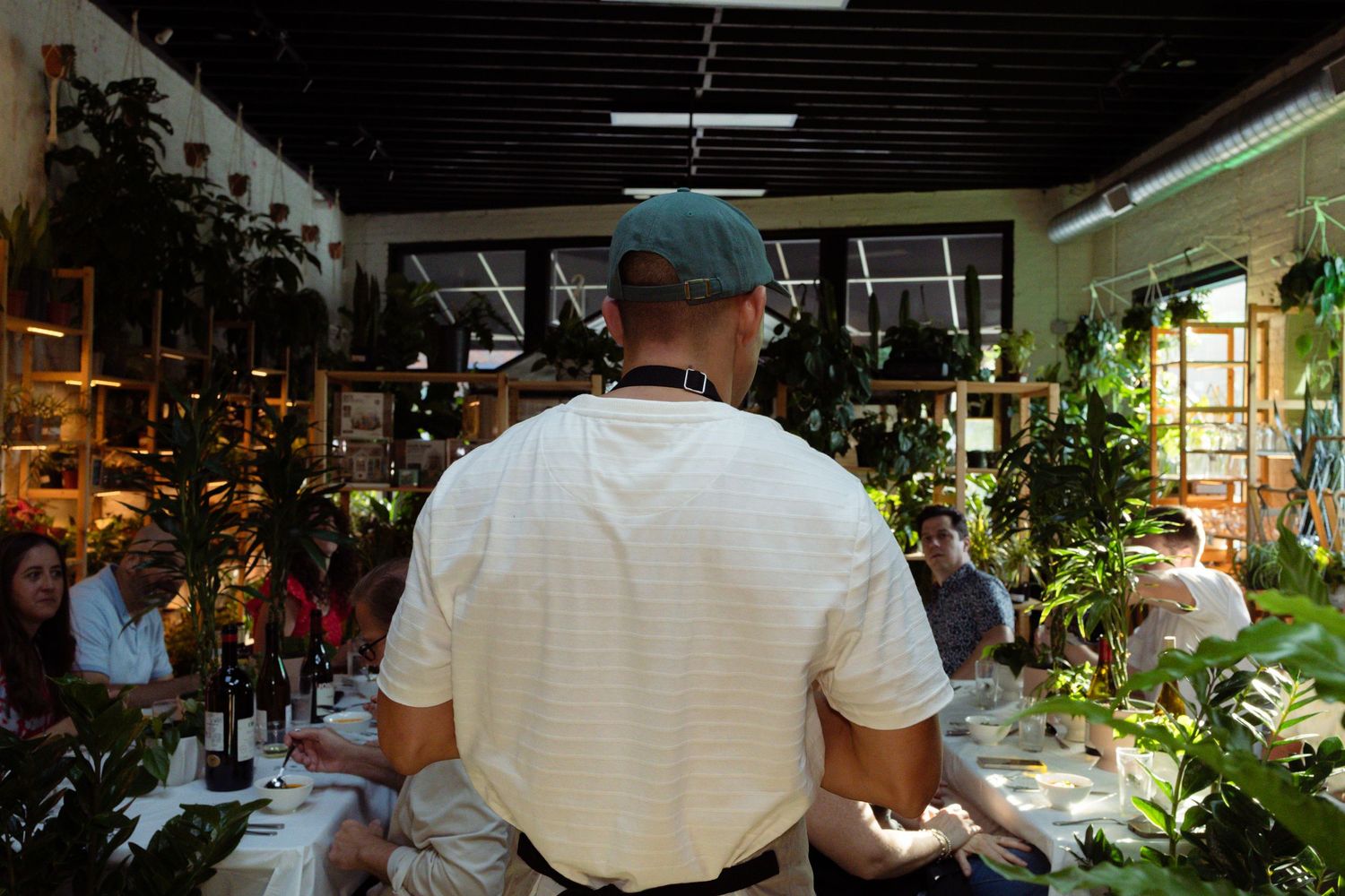 Restaurant interior with hanging paper lanterns and lush green plants creating ambient atmosphere.