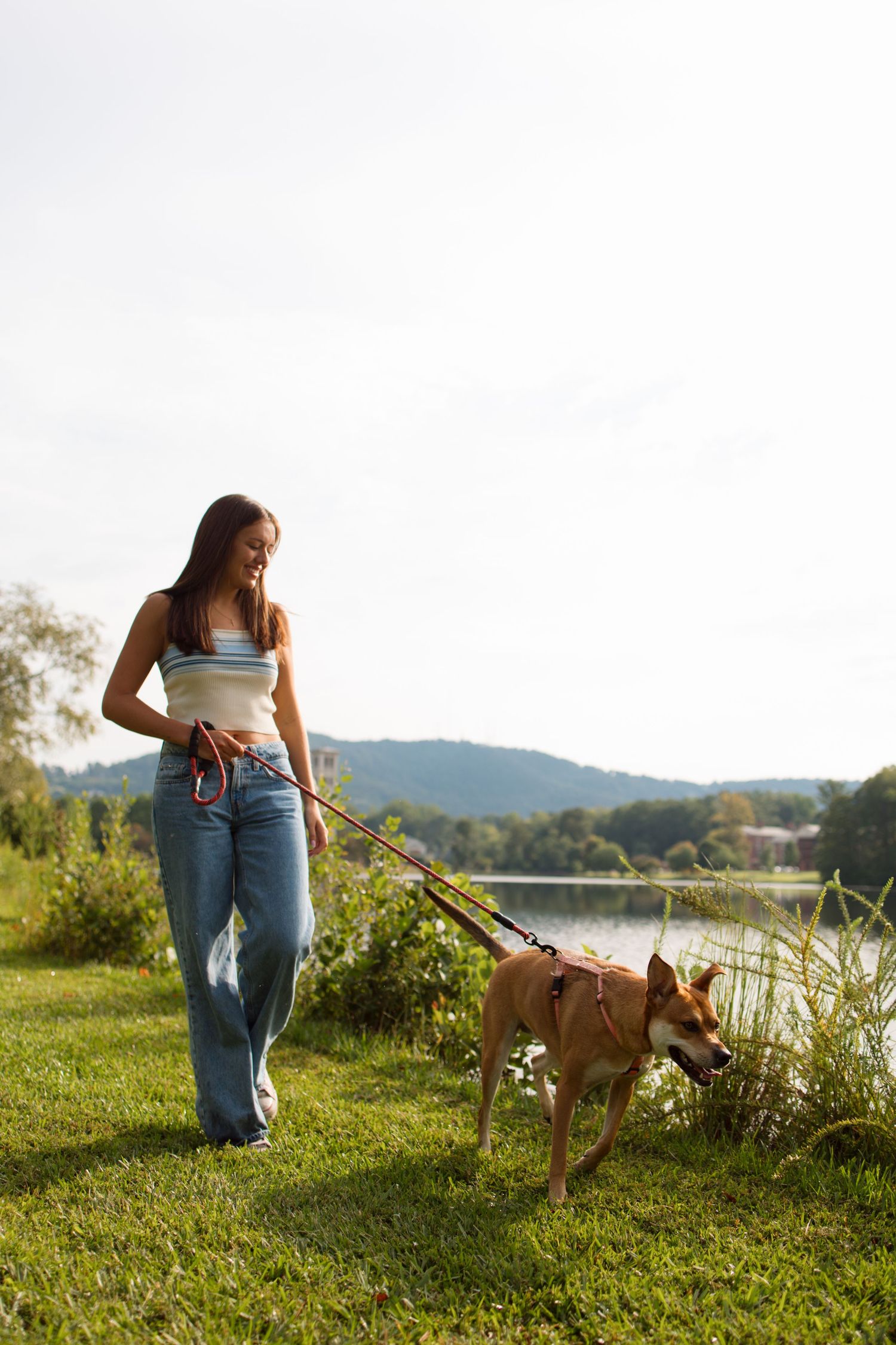 A person in jeans walks their brown dog on a leash along a scenic lakeside trail during golden hour.