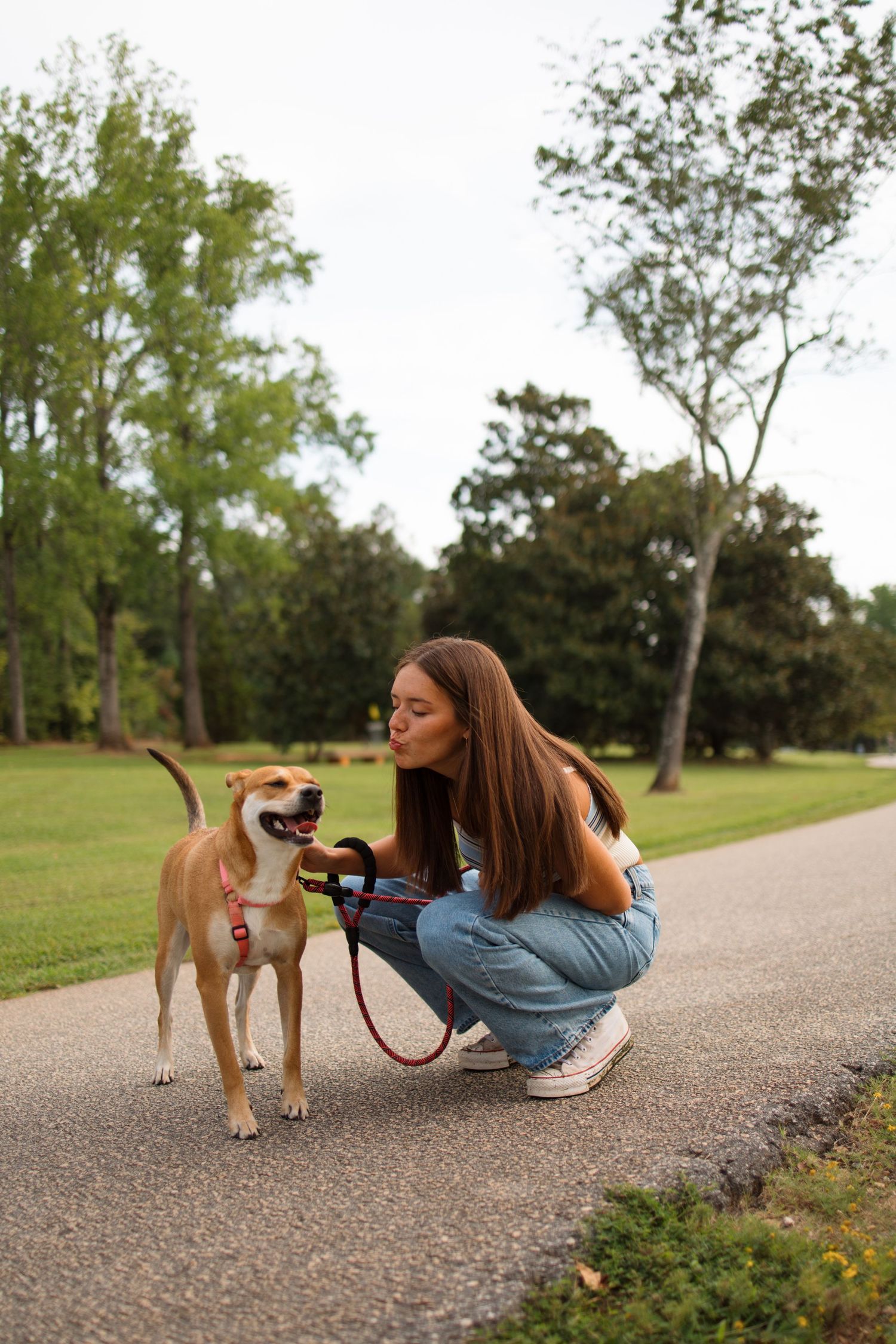 Person and tan dog interact playfully on paved path surrounded by green grass.