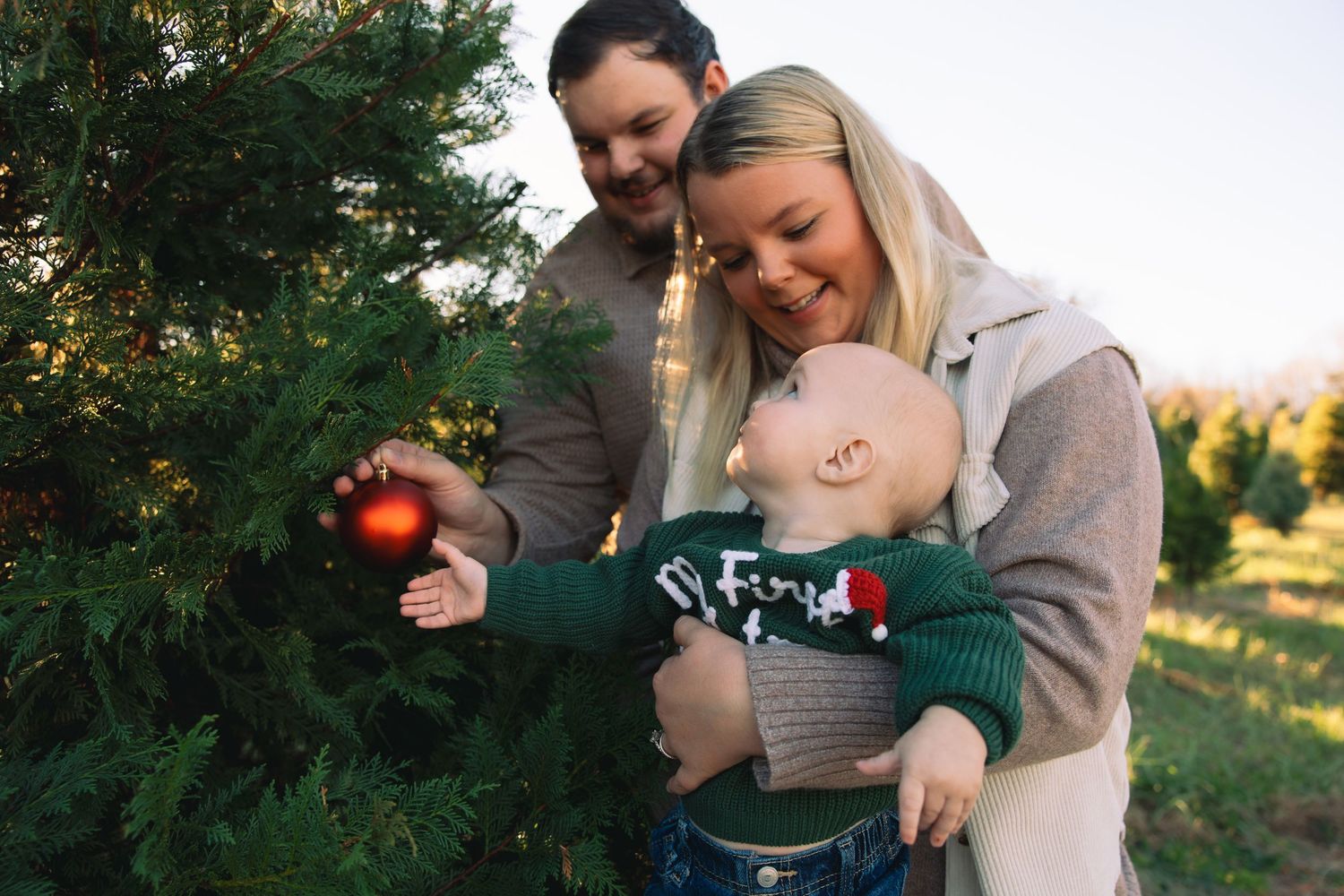 Family decorating evergreen tree with ornaments during holiday season.