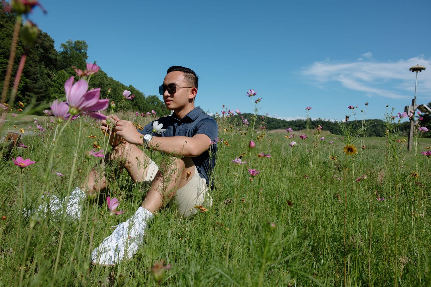 Summer outdoor photoshoot in a wildflower meadow with purple blooms under blue sky.