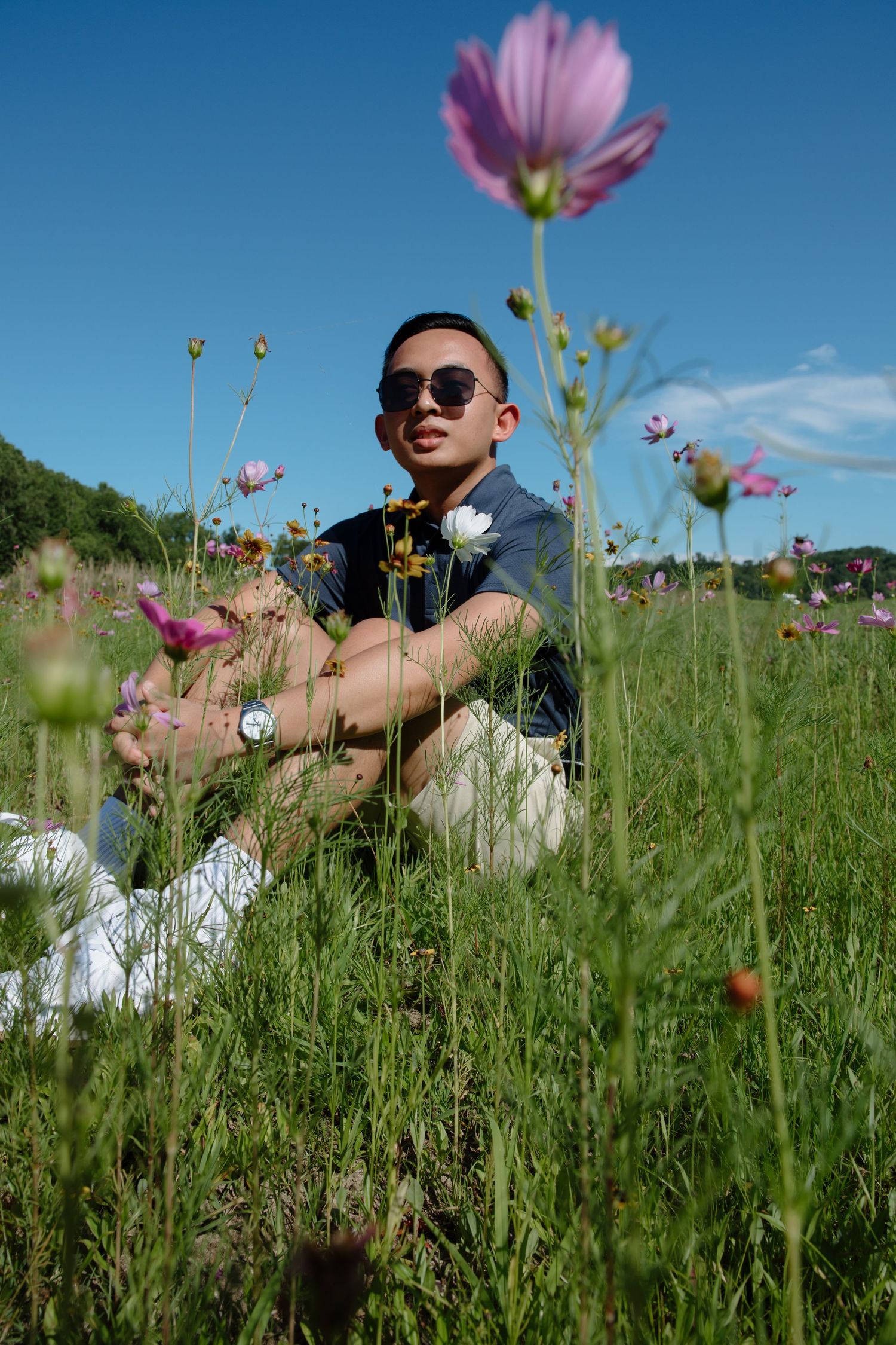Person relaxing in field of pink cosmos flowers on sunny day.