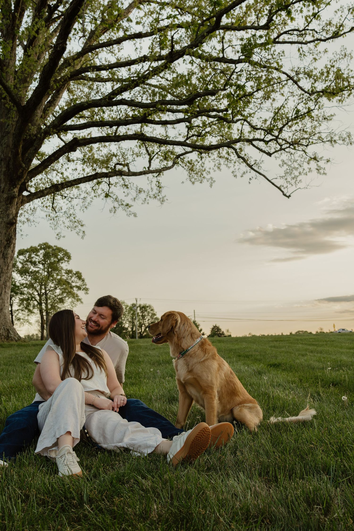 Couple sitting on grass under large tree at sunset with golden retriever dog in green field.