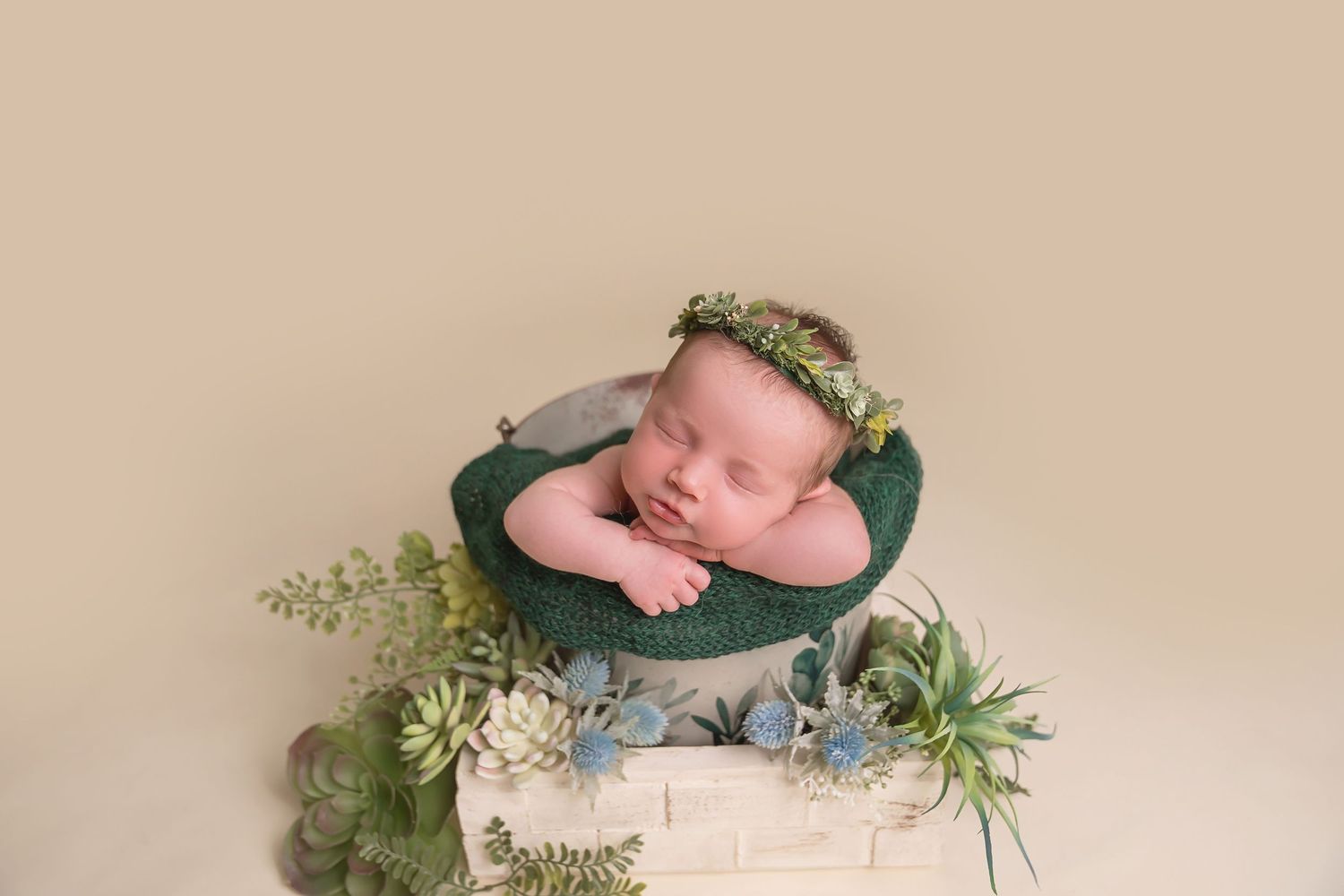 Newborn photography setup with green foliage and natural elements. San Diego Newborn Photographer