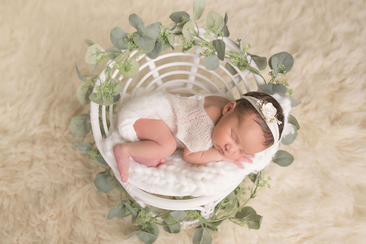 Delicate newborn photography with white basket and eucalyptus leaves on cream background. San Diego Newborn Photographer