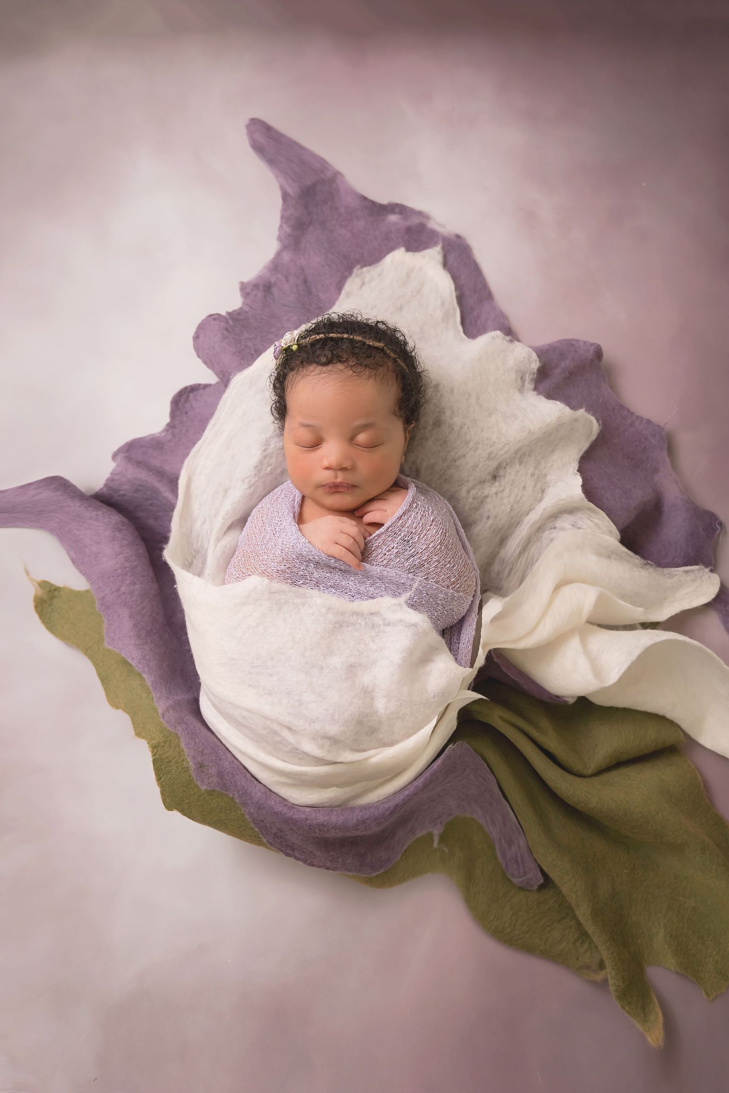 Creative newborn portrait styled as baby sleeping in purple and white flower petals. San Diego Newborn Photographer
