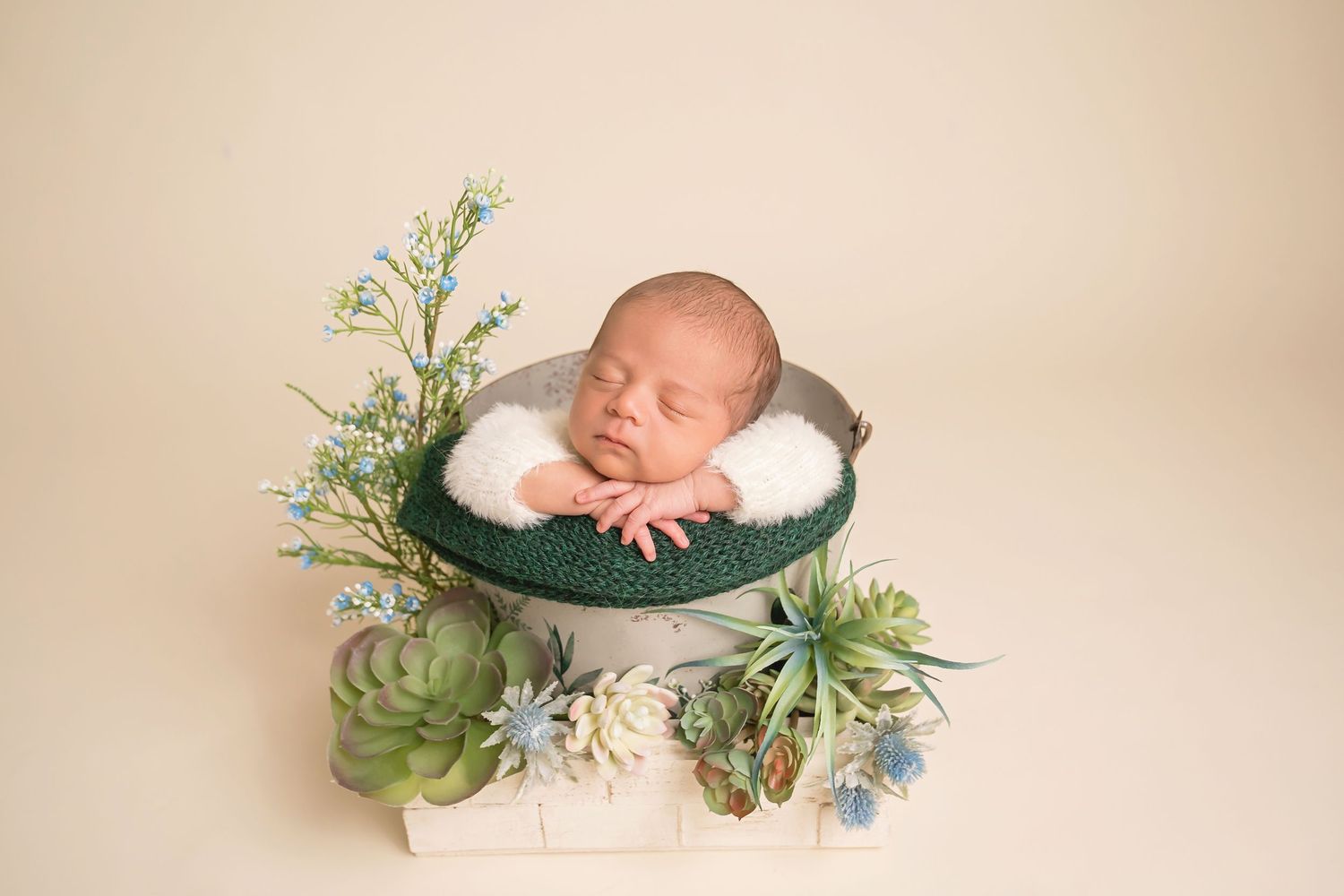 Sleeping newborn in white wrap with green foliage accents on neutral background. San Diego Newborn Photographer