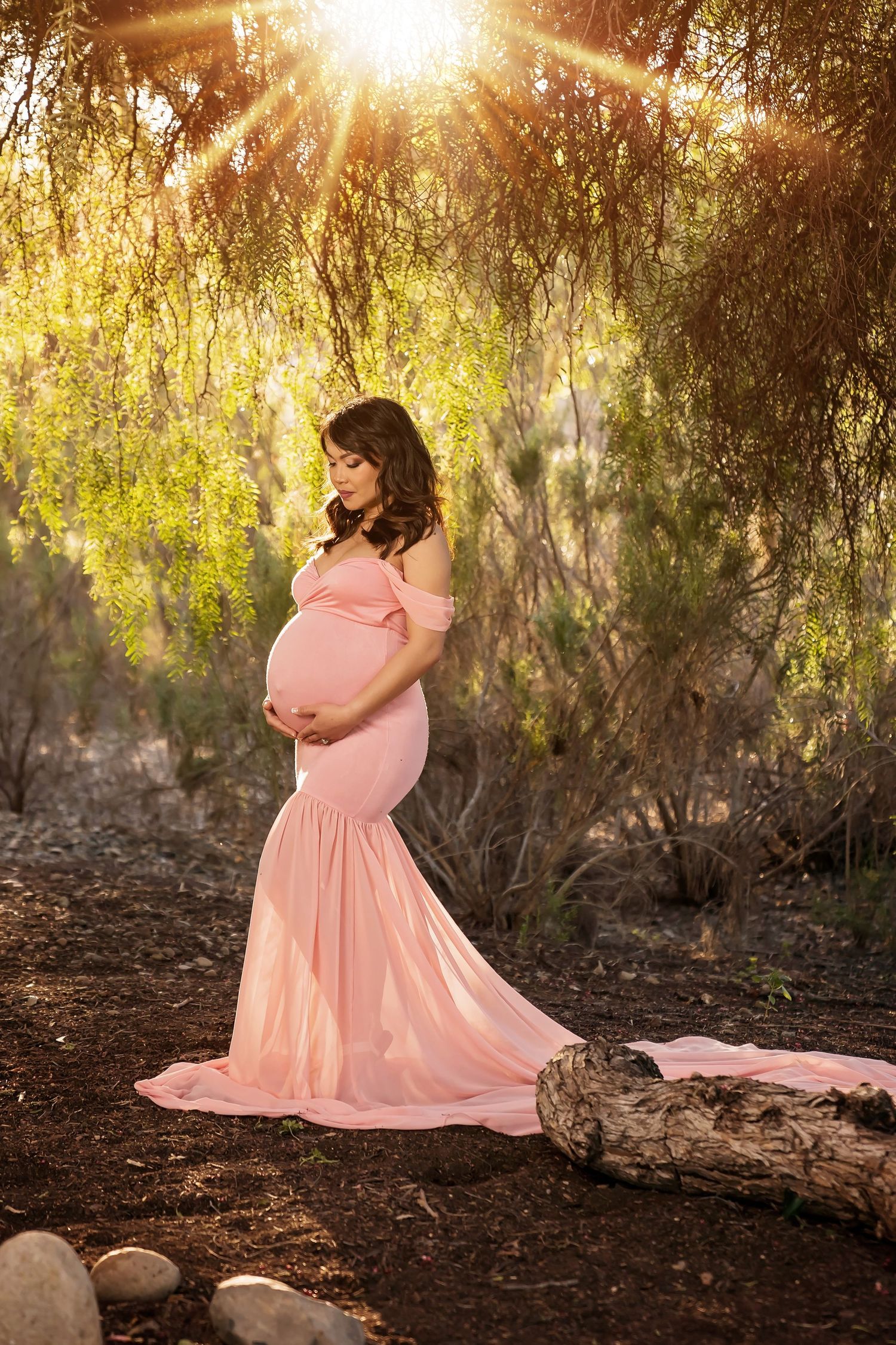 Sunlit maternity portraits under willow trees with pink flowing dress. San Diego Maternity Photographer