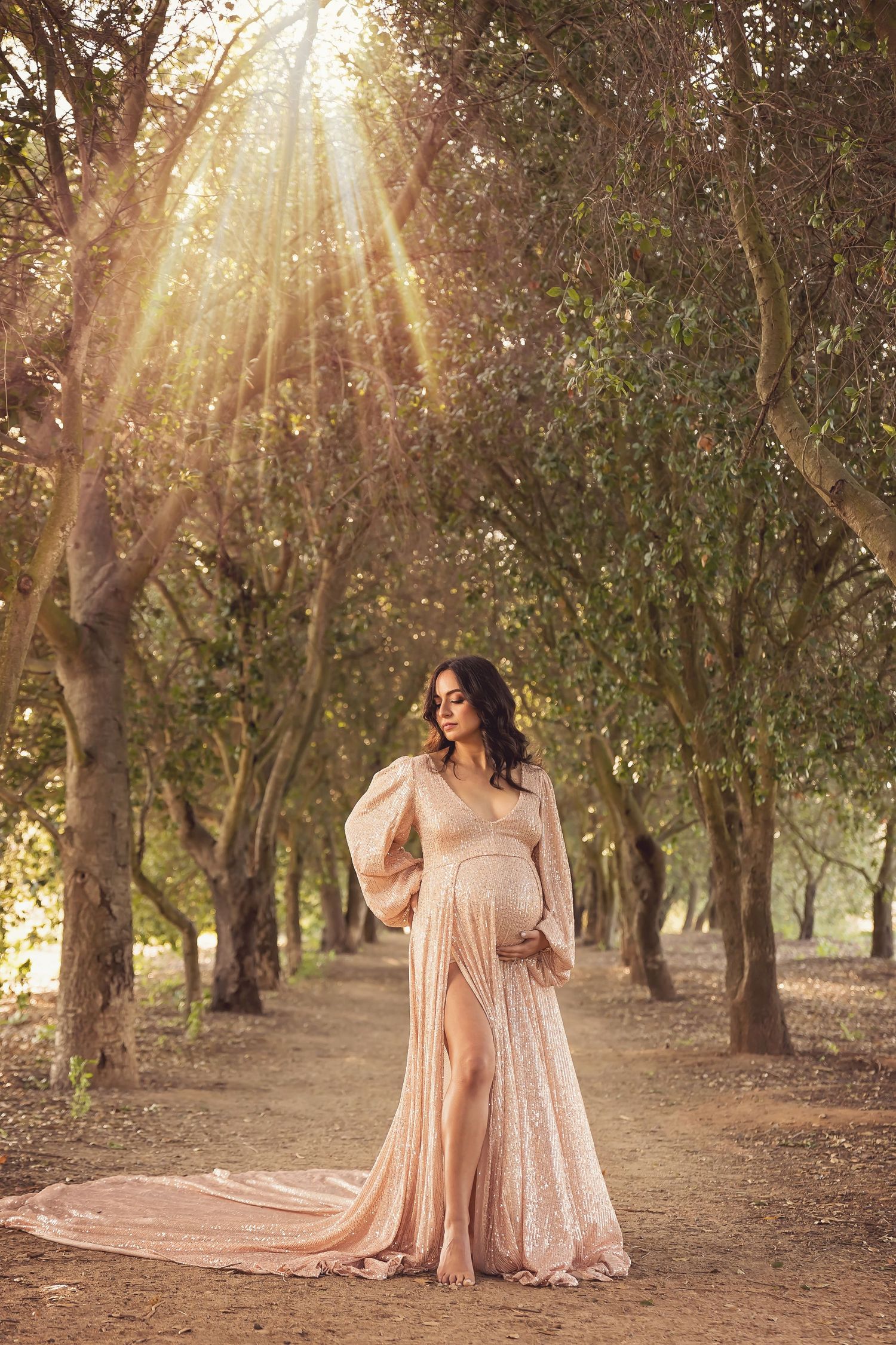 San Diego maternity photos in Dreamy golden hour photoshoot in a tree-lined path with flowing blush gown.