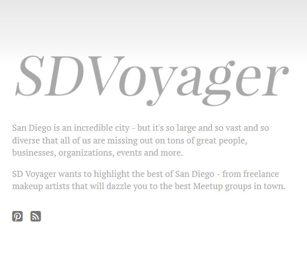 A modern monochromatic website header design with the text SDVoyager in gray tones.