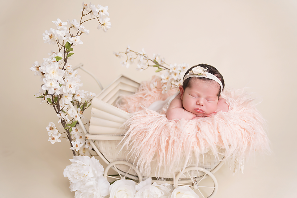 Sleeping newborn baby girl in pink fur basket with white floral pram prop and cherry blossoms on cream background.