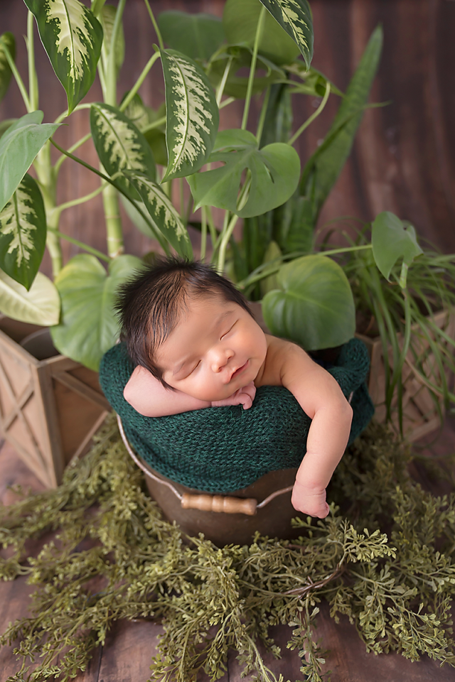 Sleeping newborn baby nestled in a gold bucket with teal knit wrap, surrounded by lush green tropical plants.