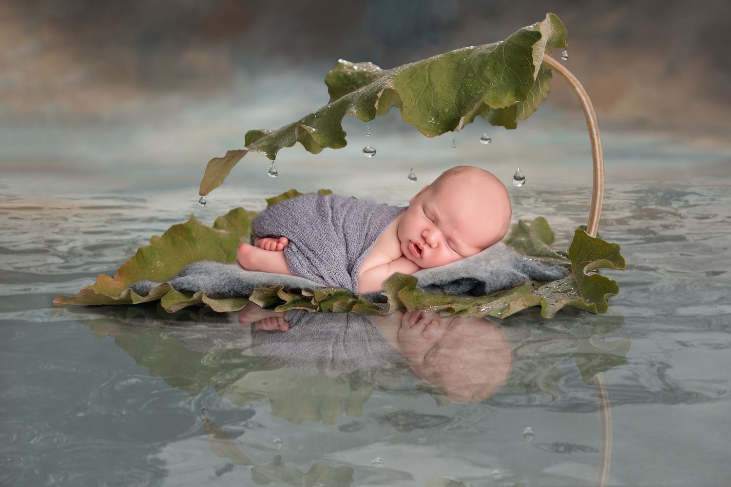 Creative newborn photo of baby sleeping under large green leaf on reflective surface. San Diego Newborn Photographer