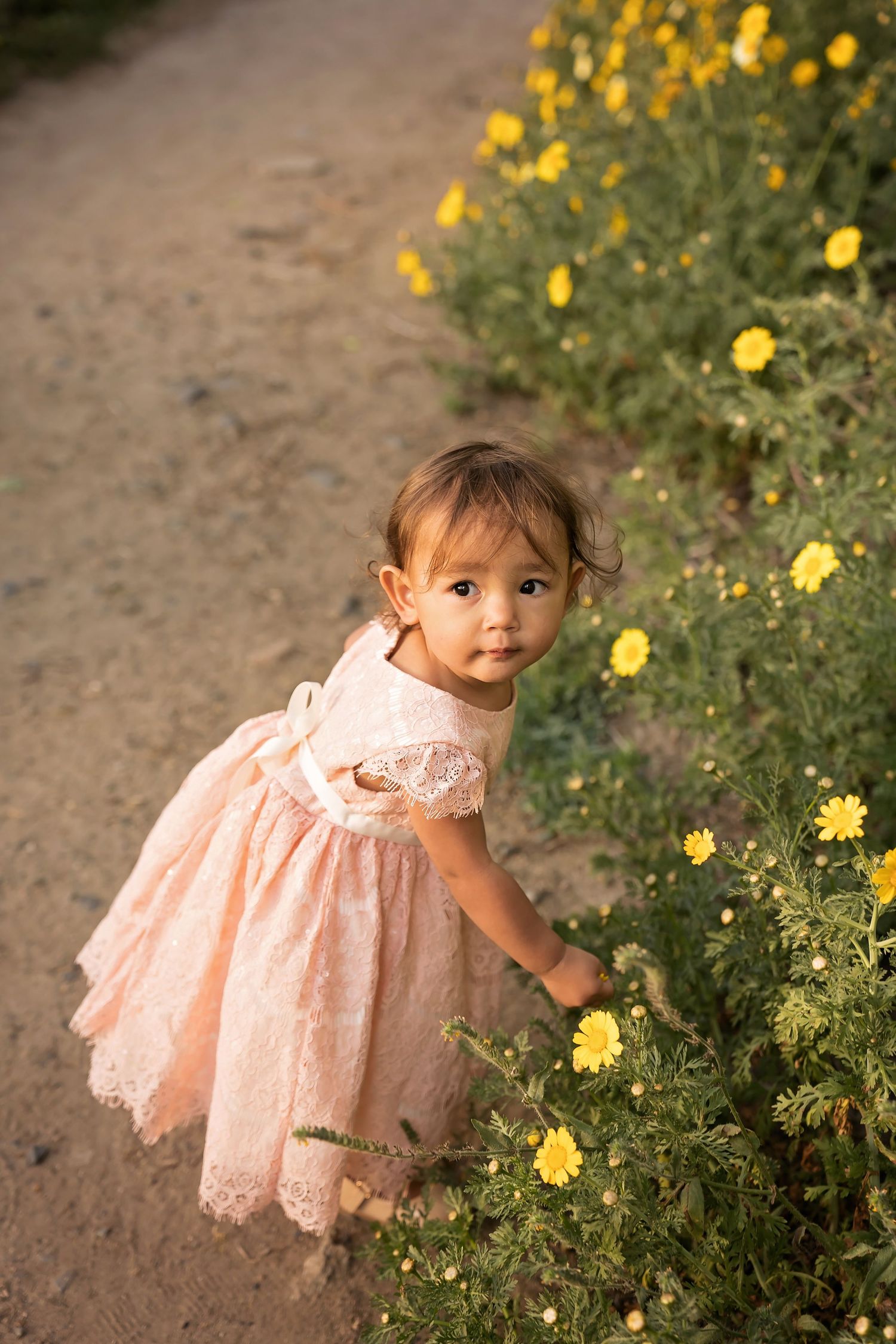 Young child in a peach lace dress exploring yellow wildflowers in a garden setting