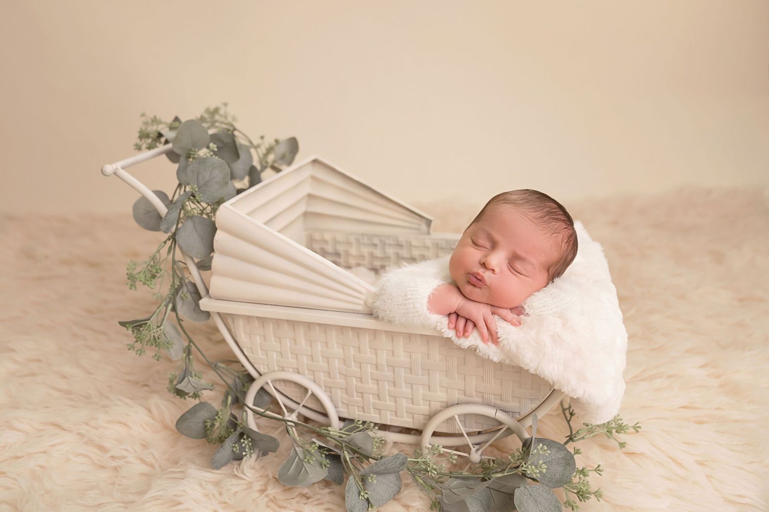 Elegant white bassinet setup with greenery for newborn photography. San Diego Newborn Photographer