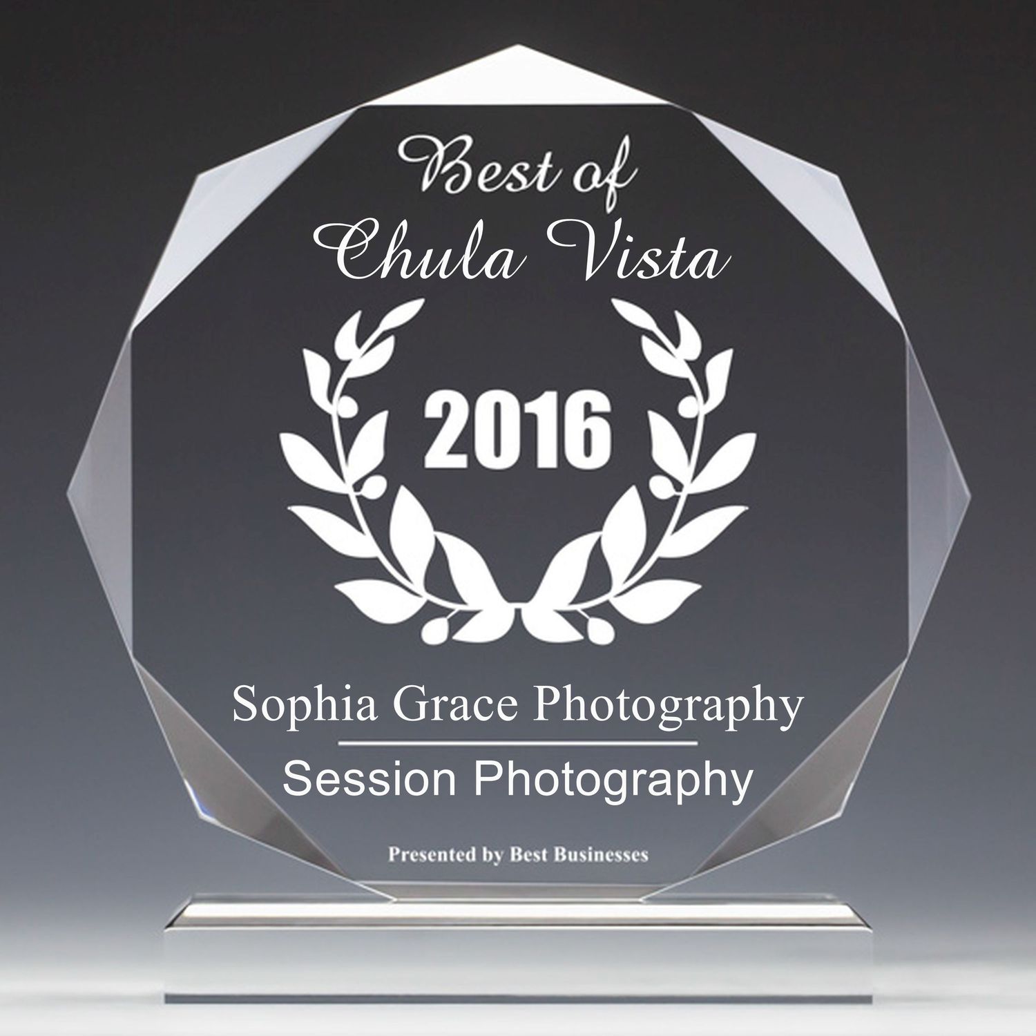 Row of clear acrylic photography awards and trophies for Best Session Photography in Chula Vista CA.