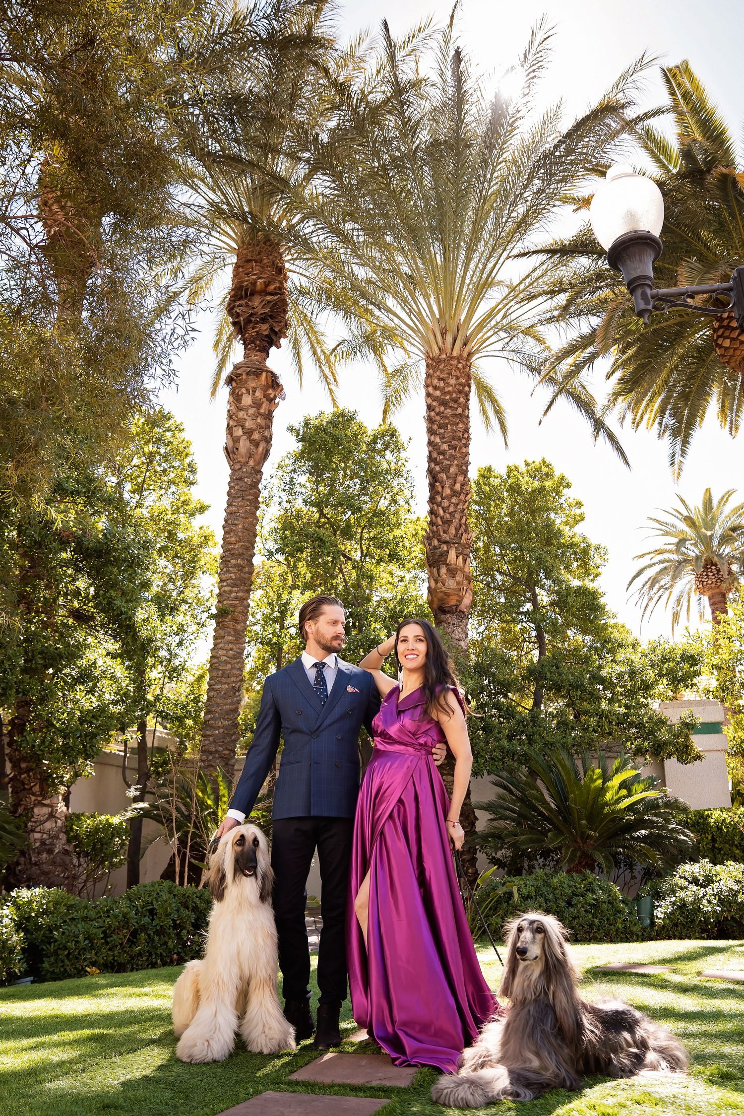 Elegant outdoor maternity portrait session with palm trees and dogs in a lush garden setting at sunset. San Diego Maternity Photographer