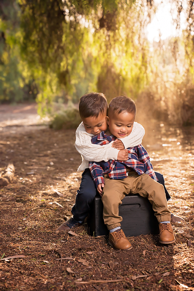 Two young brothers share a sweet embrace while sitting on a vintage suitcase along a sunlit forest path.
