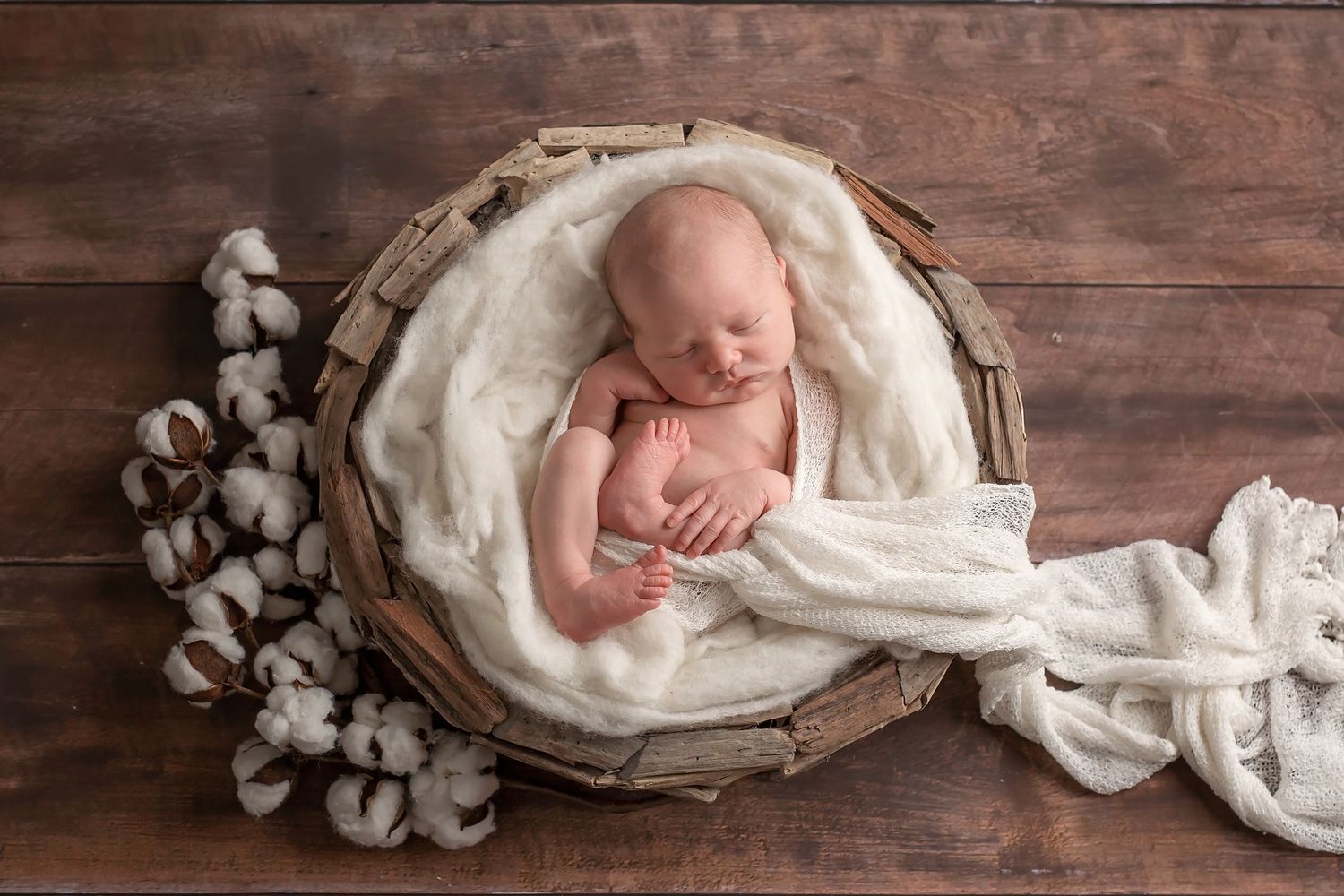 Artistic newborn photography setup with cotton stems and rustic wood backdrop. San Diego Newborn Photographer