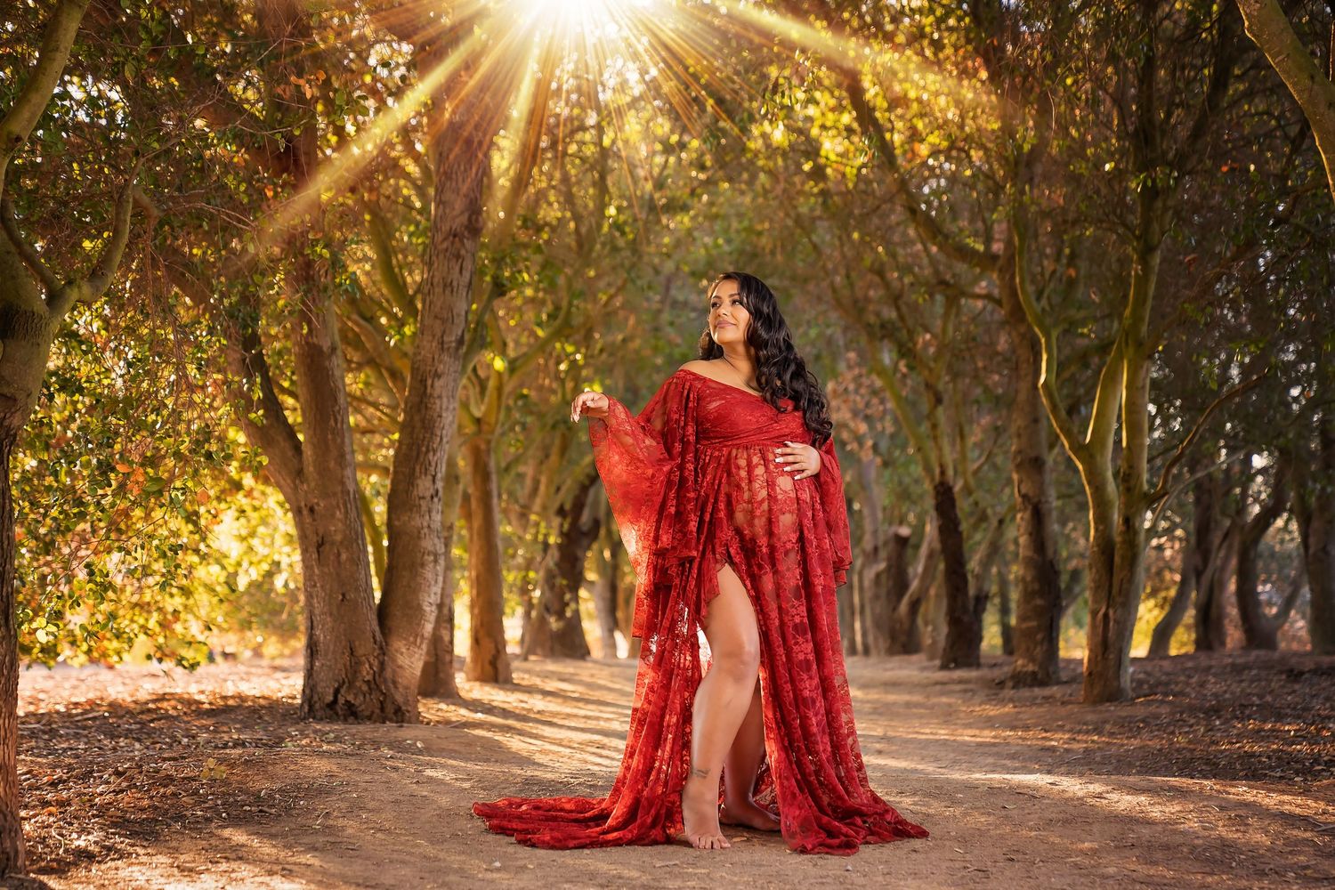 San Diego maternity photo Golden sunlight streams through trees creating magical maternity photos. San Diego Maternity Photographer