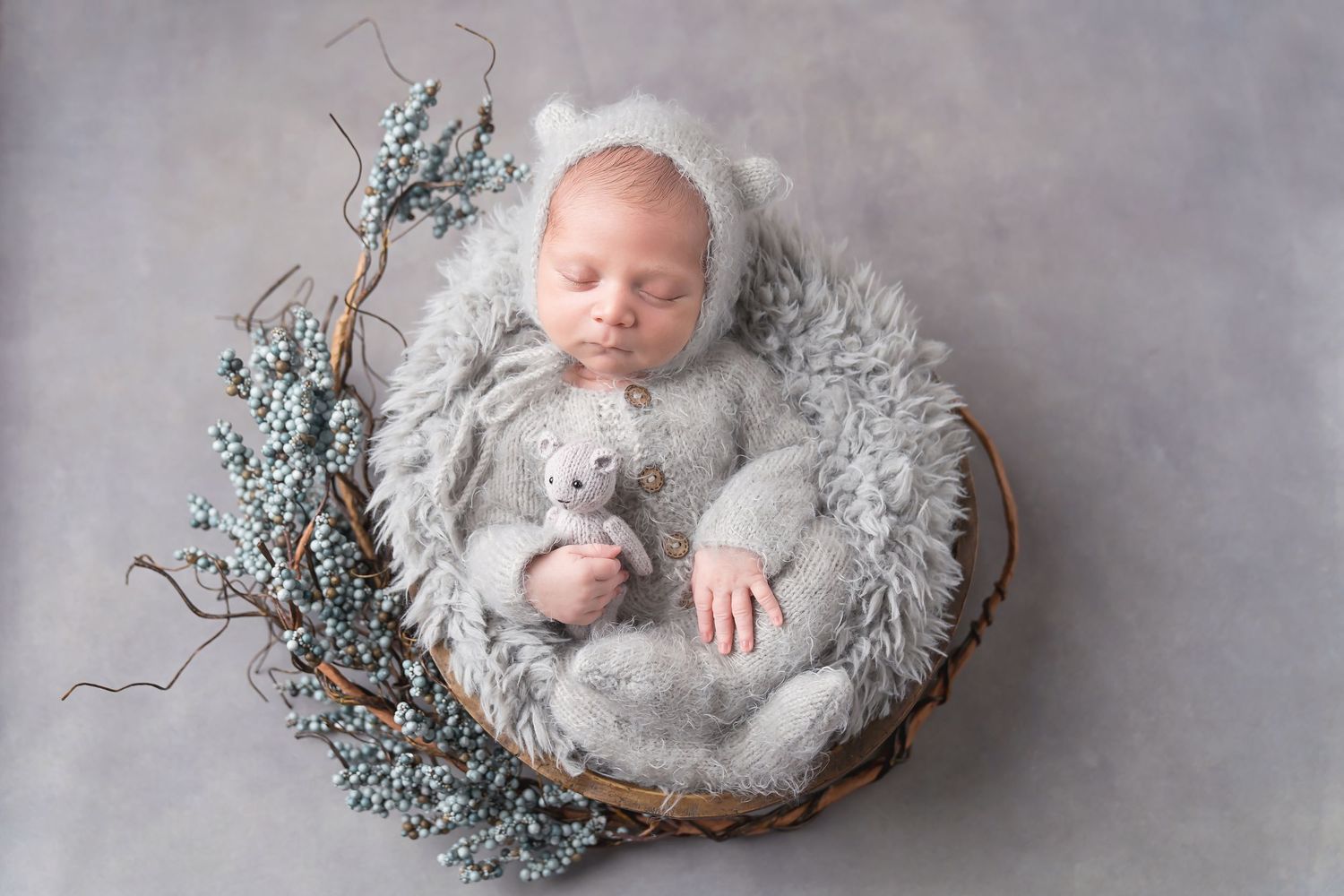 Newborn baby sleeping in rustic nest with winter berries and gray backdrop. San Diego Newborn Photographer