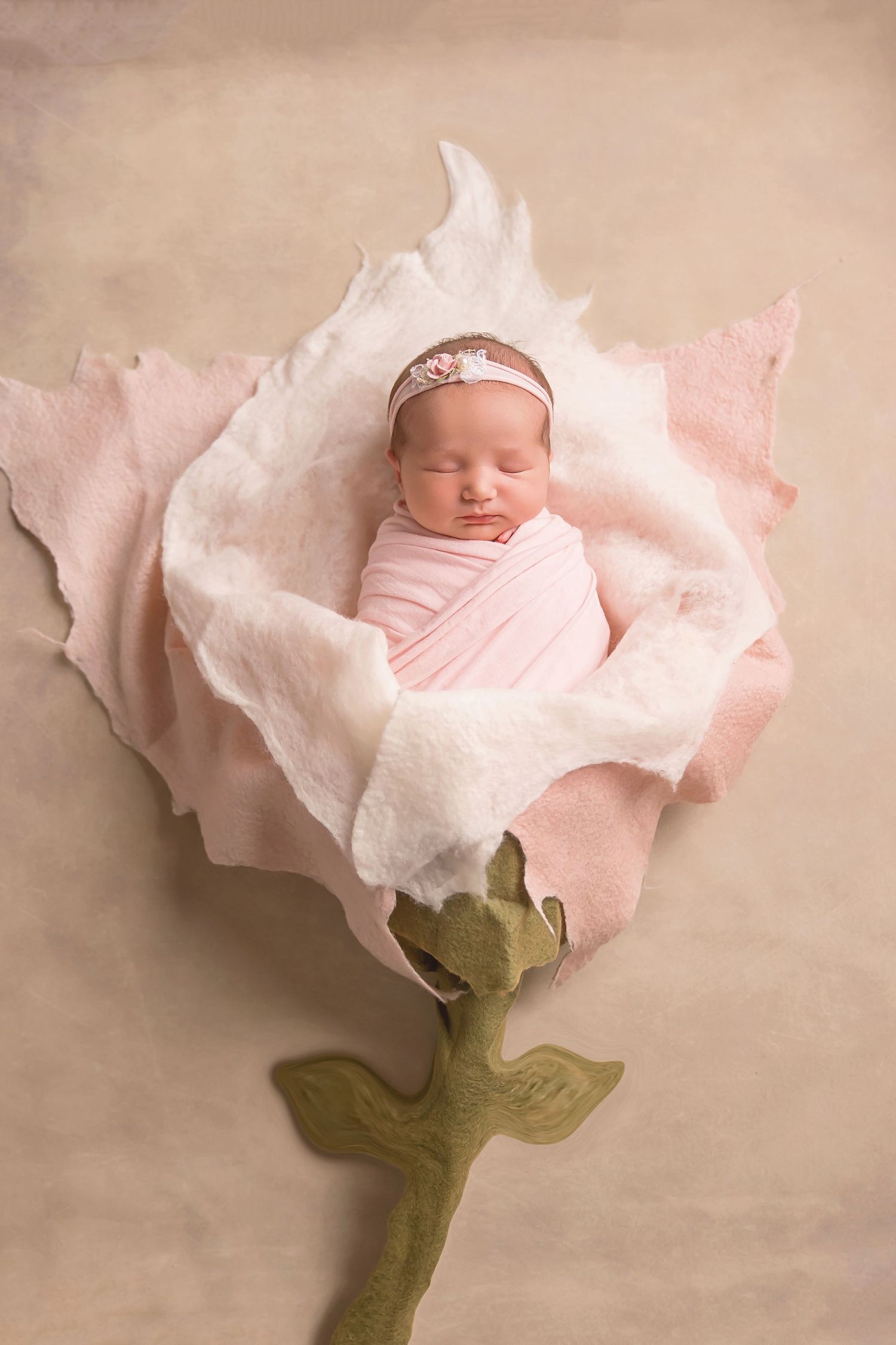 San Diego newborn photographer captures Creative newborn photography depicting a baby nestled in a pink rose-shaped prop.