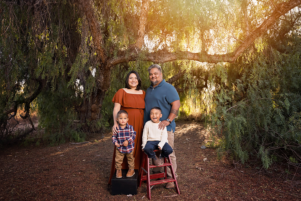 Family of four posing outdoors under a willow tree, parents with two young boys, warm golden light in a lush green setting.