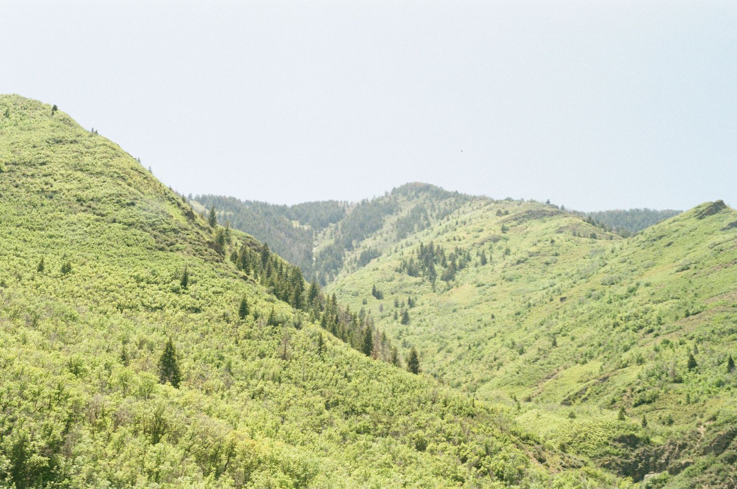 Panoramic mountain landscape with green hills and distant peaks under blue sky.
