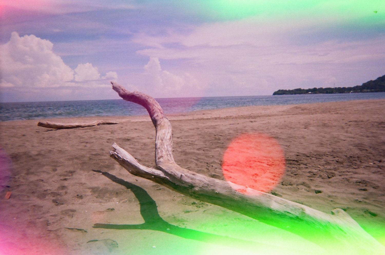 Driftwood on a beach at sunset with colorful light leak effects.