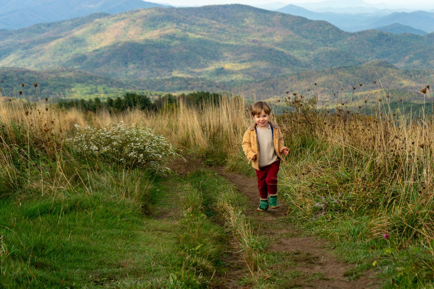 A hiker walks along a scenic mountain trail through tall grass with rolling hills and blue skies in the background.