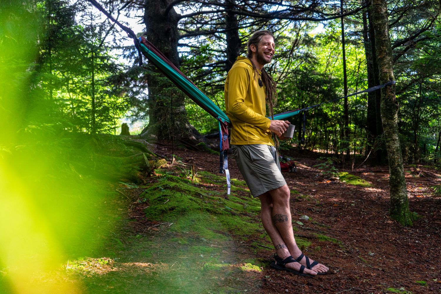 Hiking trail through lush green forest with sunlight filtering through trees.