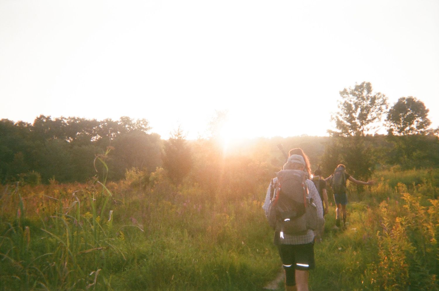 Silhouette of a hiker with backpack walking through a golden meadow at sunset.