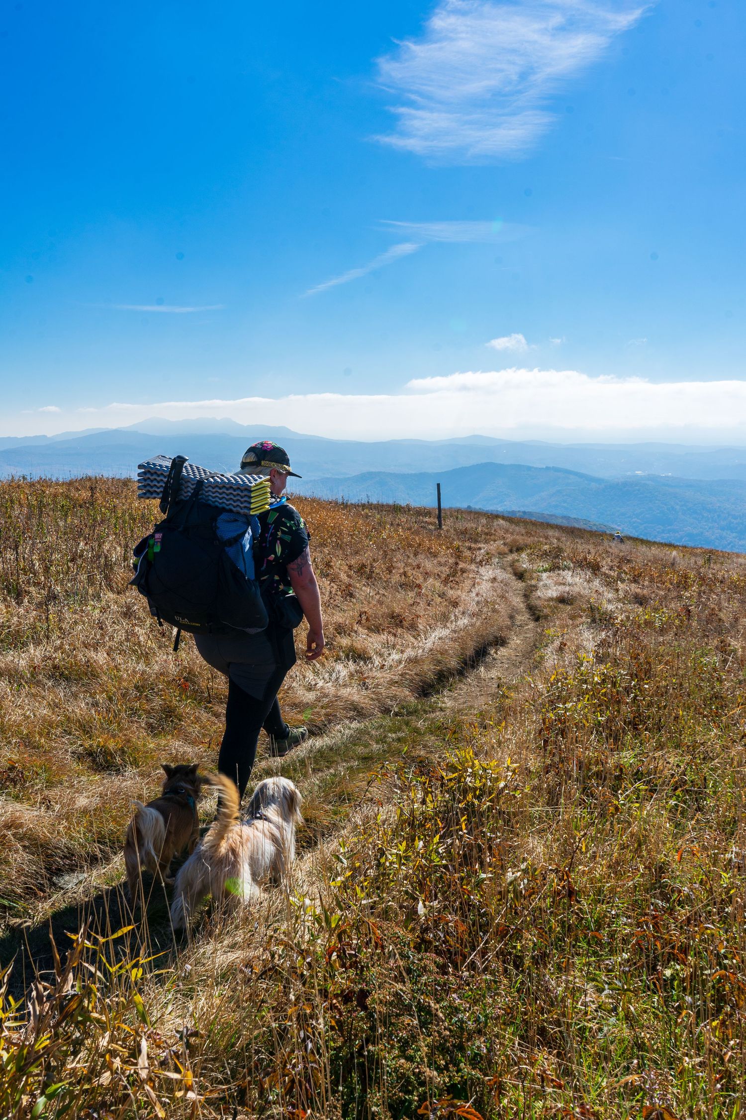 People hiking with a dog on a mountain trail surrounded by autumn grass and distant peaks.