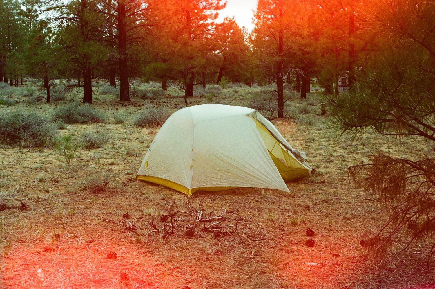 Yellow camping tent in forest clearing at sunset with orange sky glow.