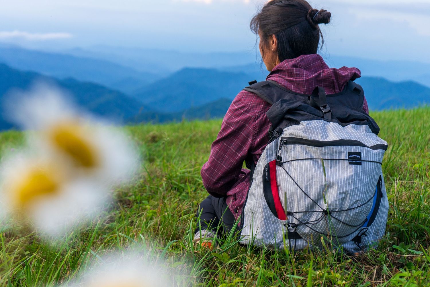 Hiker with backpack enjoying mountain views with wildflowers in foreground.