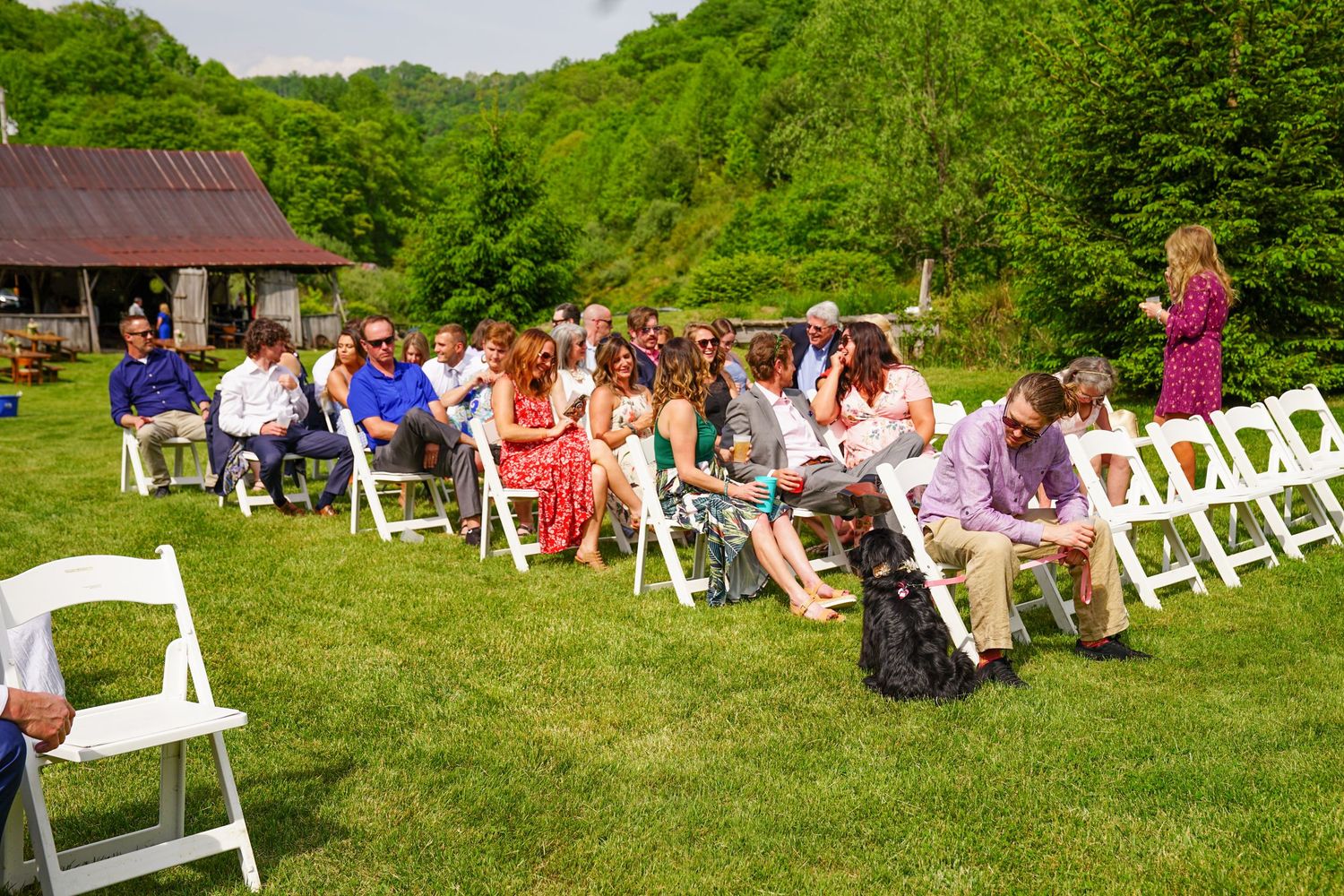 White folding chairs arranged on a green lawn for an outdoor event with guests seated in the background.