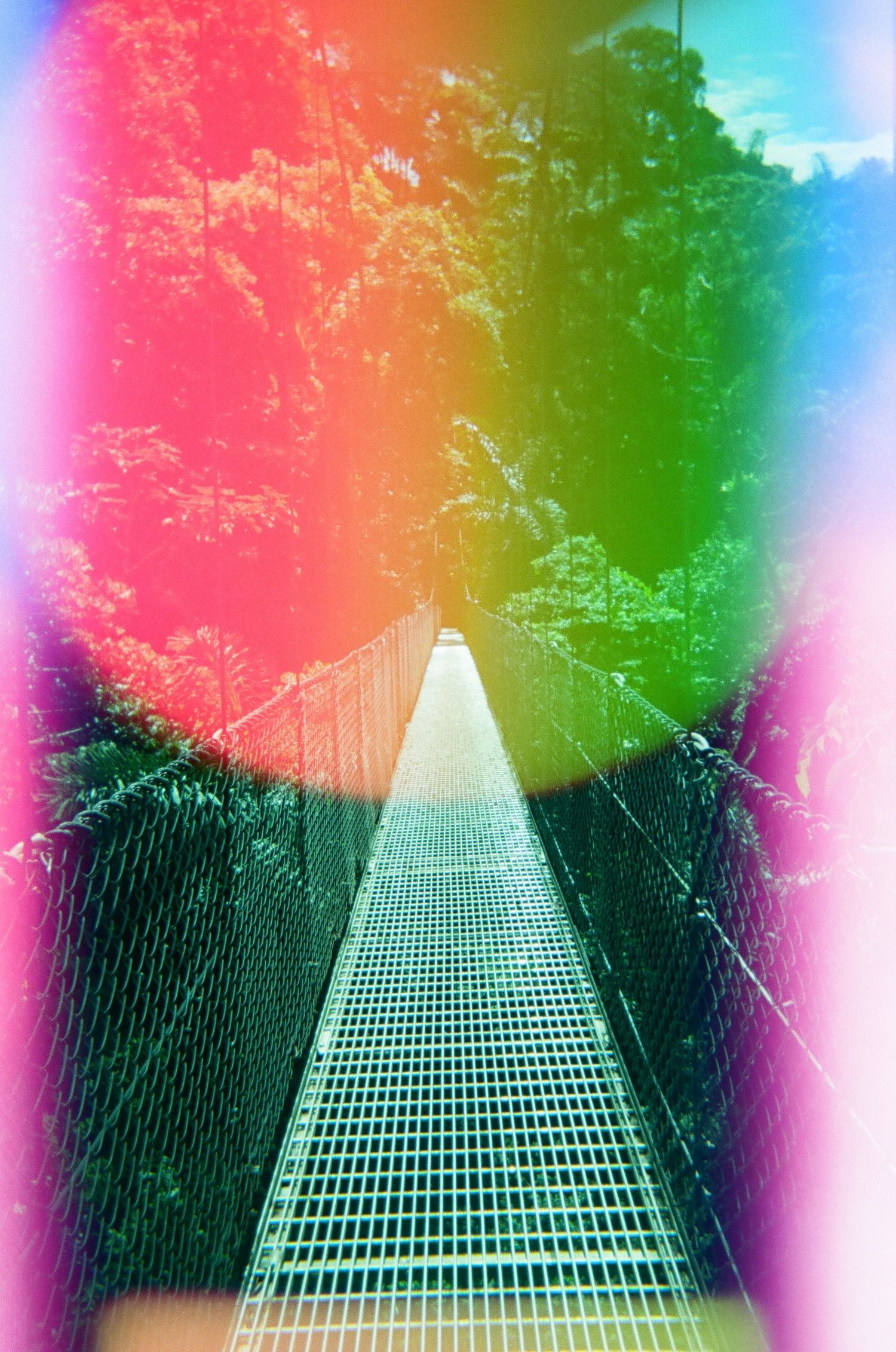 A suspension bridge walkway with rainbow light leak effects in nature.