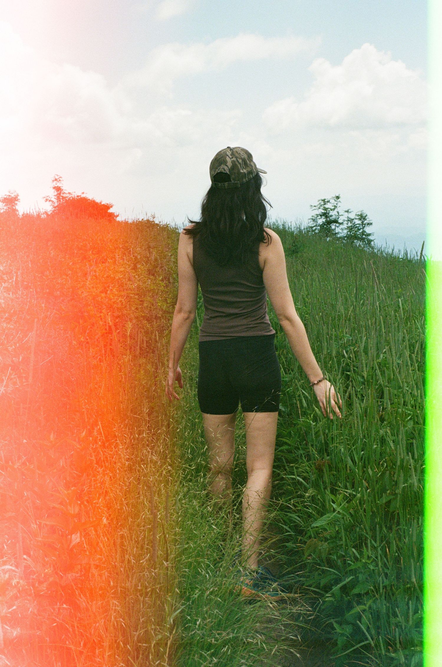 Person hiking through tall grass on a sunny day with orange-tinted filter.