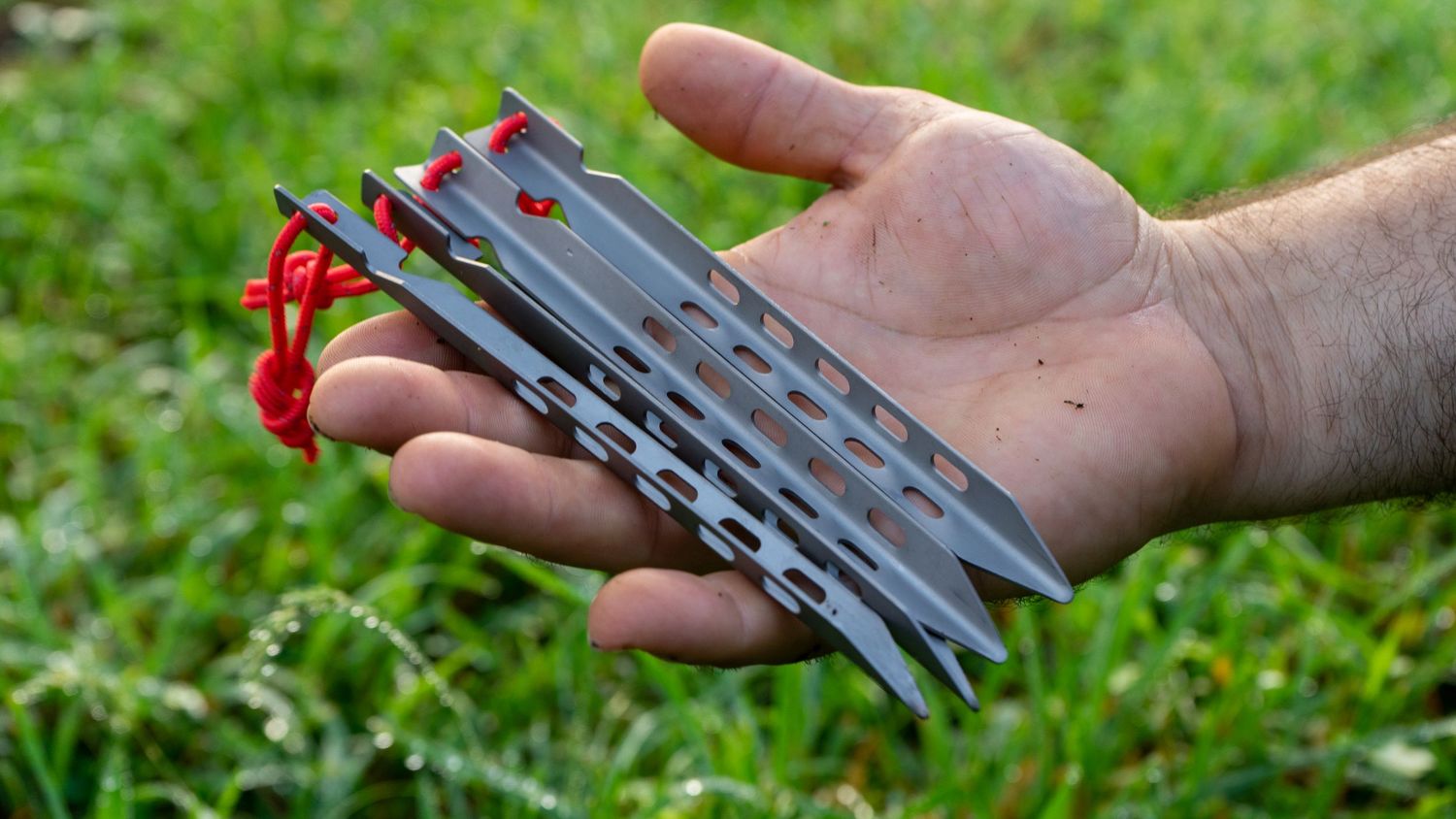 A hand holding multiple fishing hooks and lures against green grass.