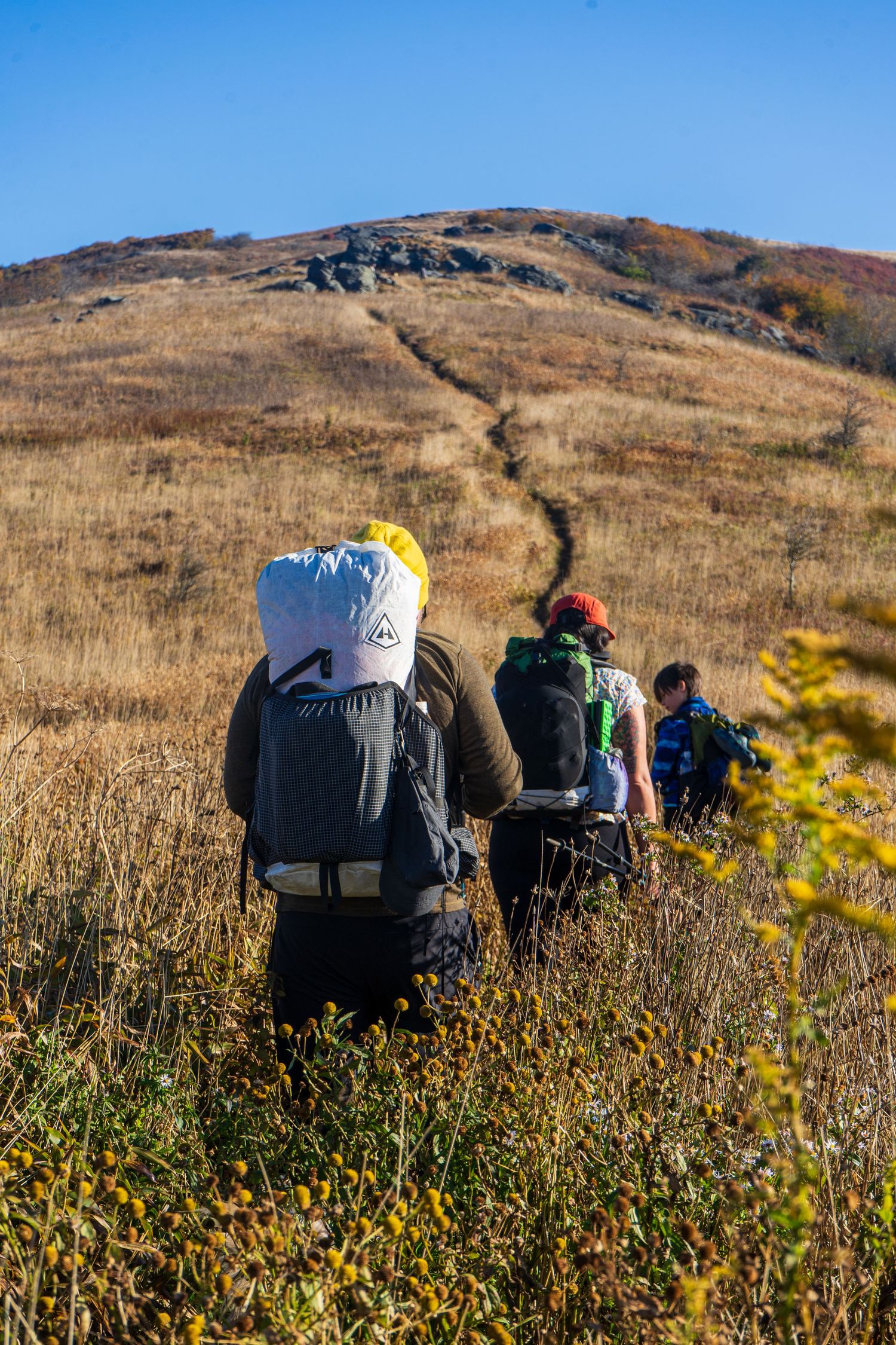 Hikers with backpacks trek up a steep mountain trail through autumn terrain.