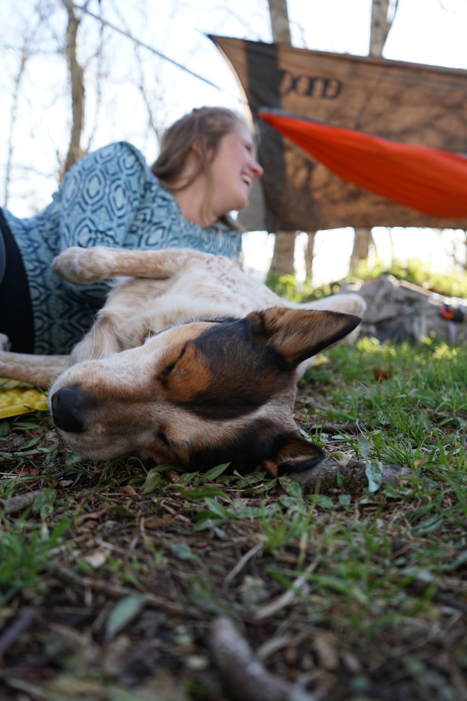 A dog naps peacefully next to an orange red hammock on forest ground.