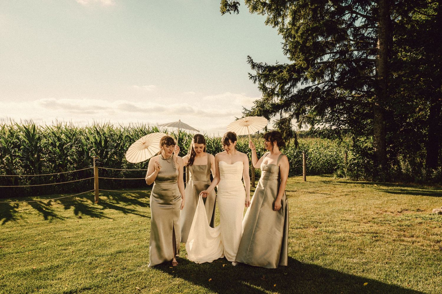 Bride and bridesmaids in olive dresses walk with white parasols on green lawn beside a cornfield.