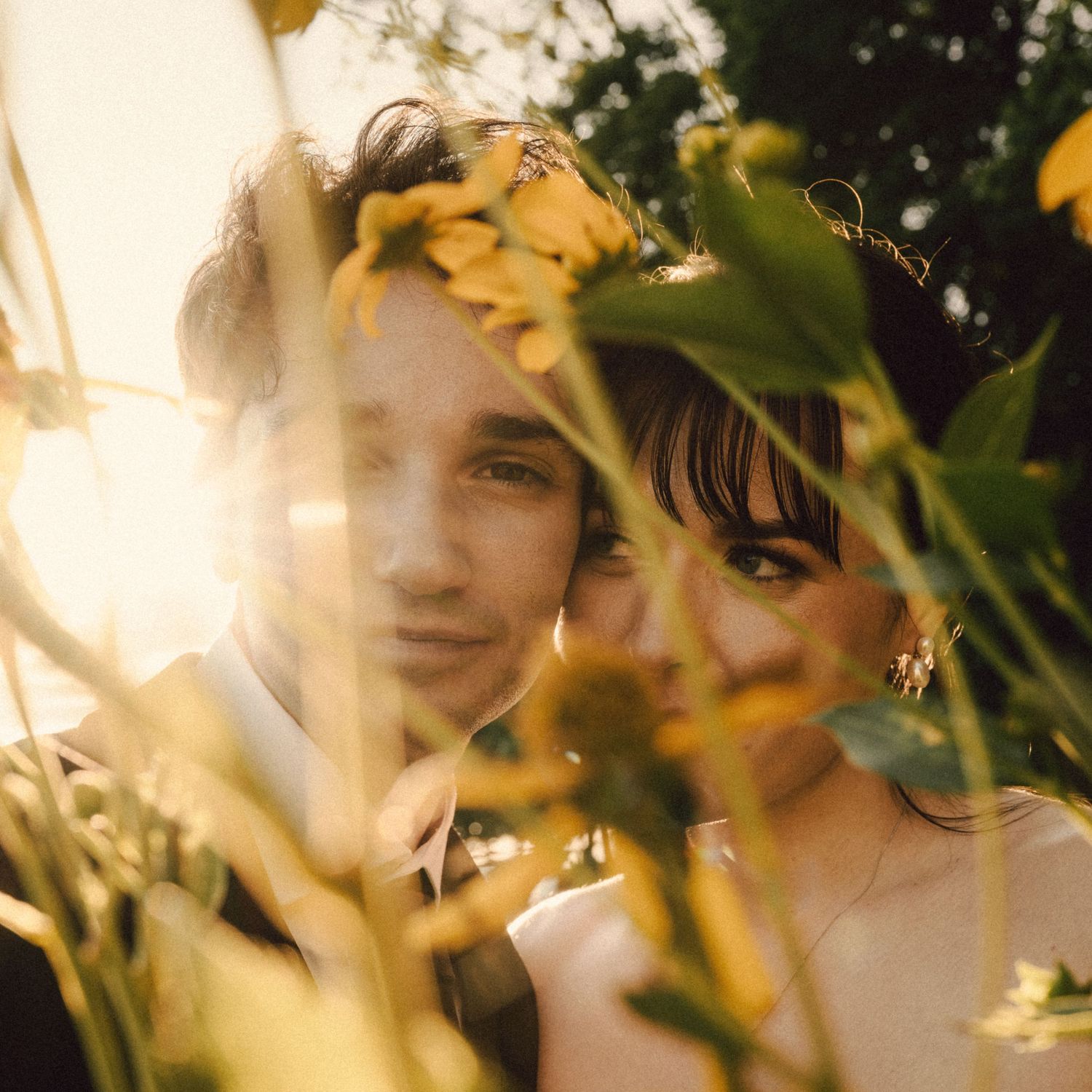Couple embracing behind golden sunflowers at sunset during wedding.