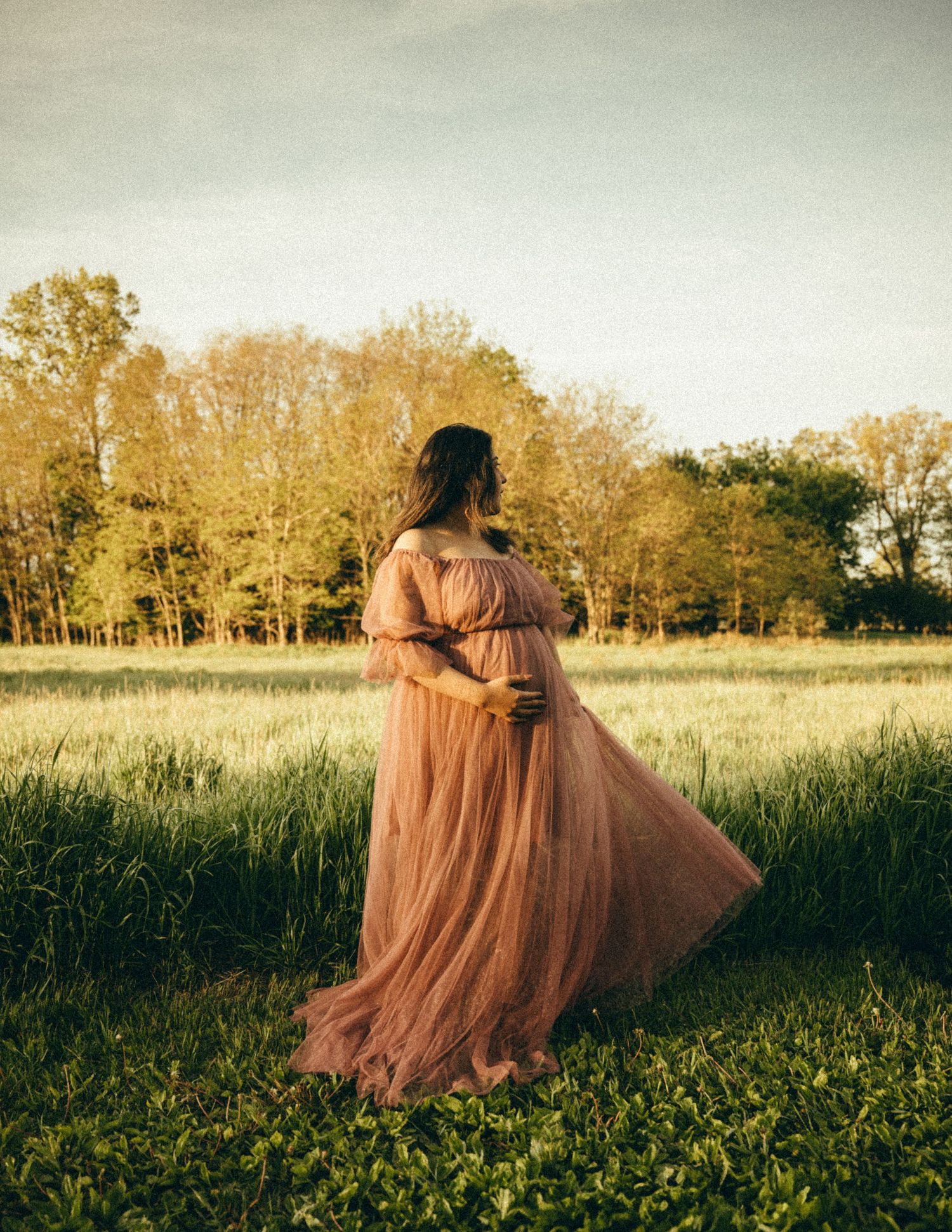 Pregnant woman in dusty rose tulle maternity gown gazing across a sunlit meadow.