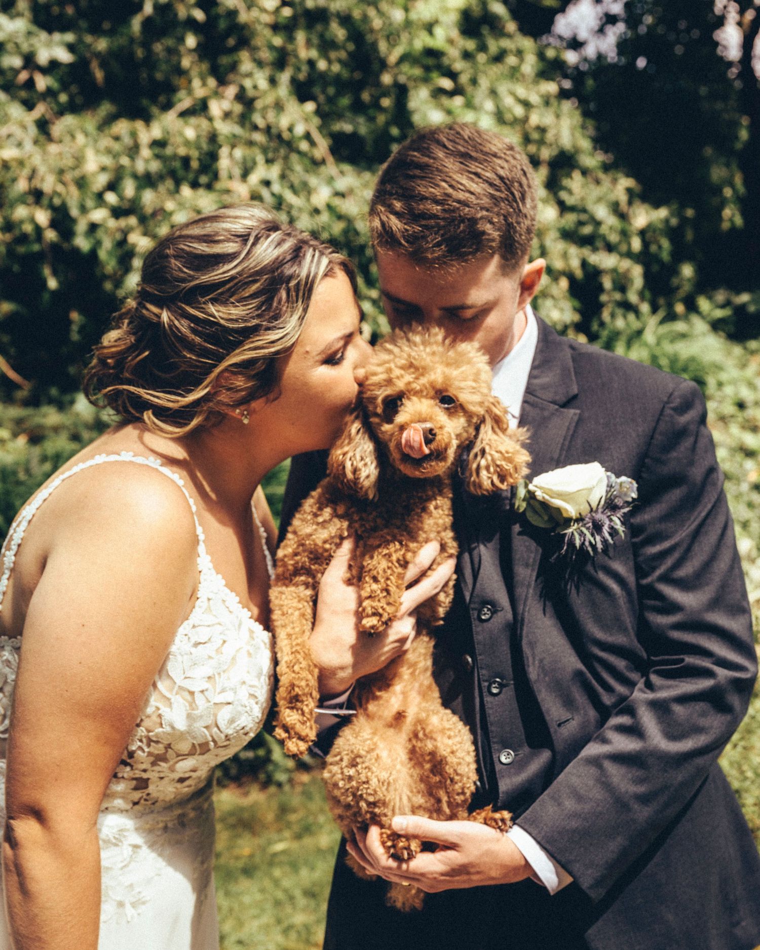 Bride and groom kissing an adorable brown toy poodle puppy in a lush garden setting.