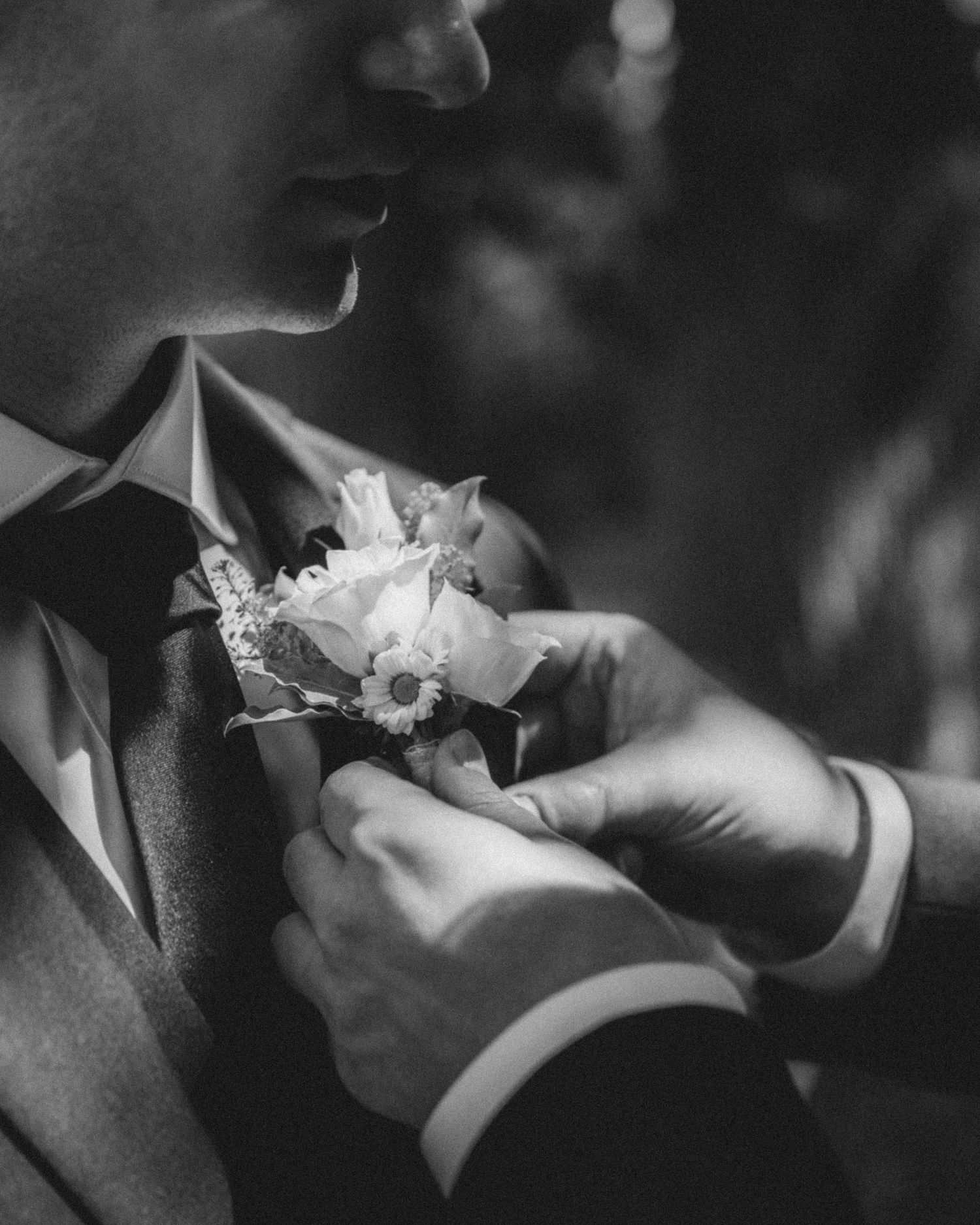 Black and white close-up of groom having boutonniere pinned to suit lapel.