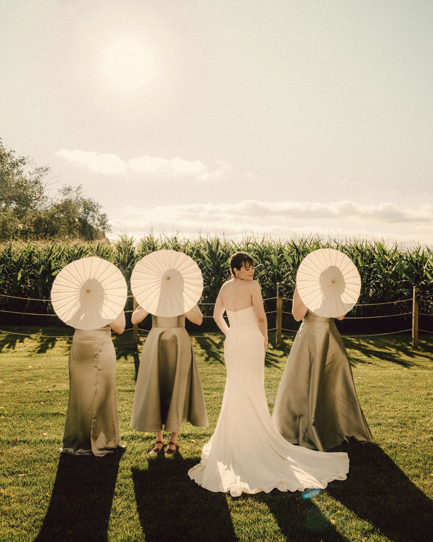Bride and bridesmaids in sage gowns hold white parasols outdoors near a cornfield on a sunny day.