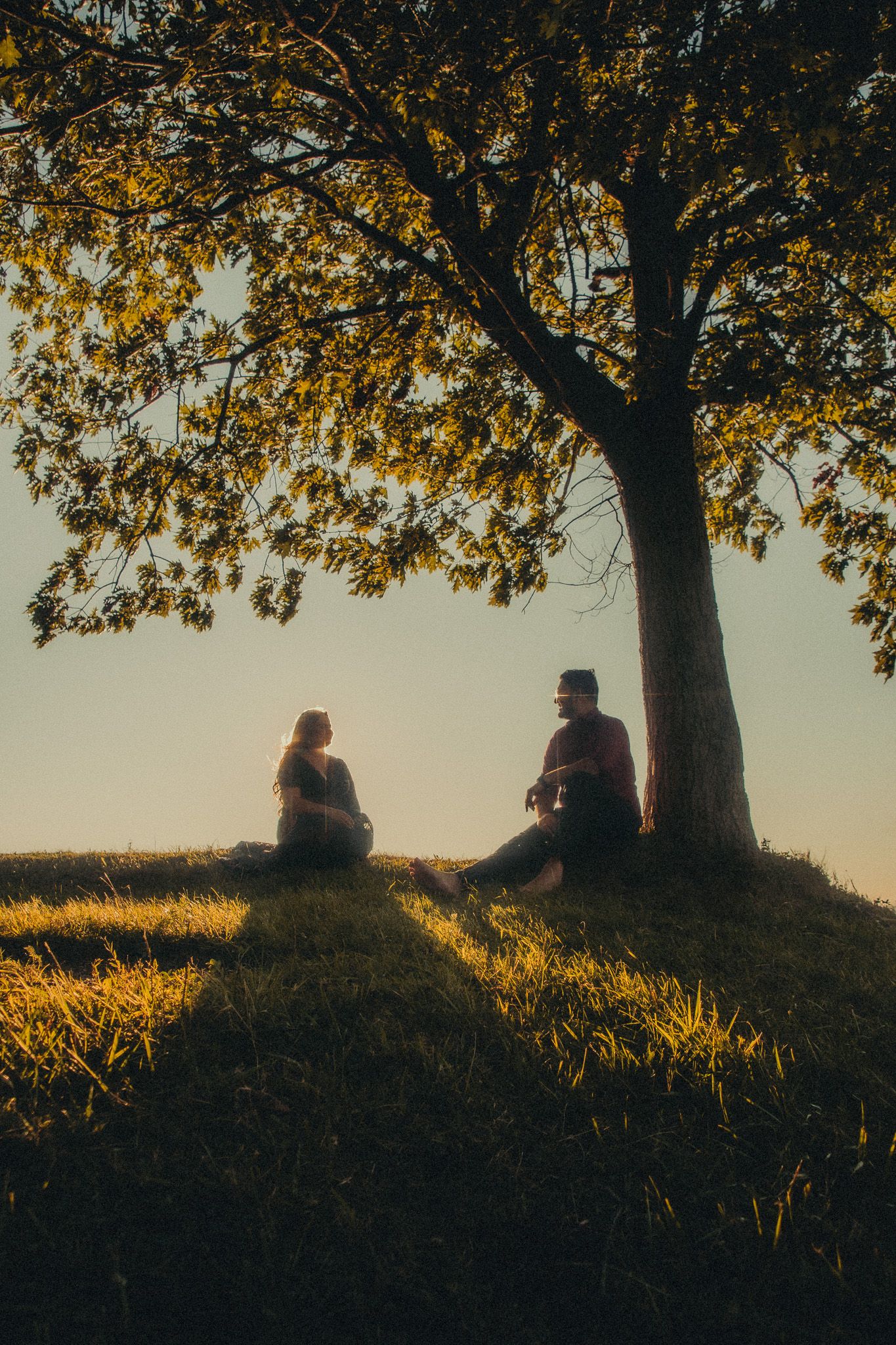 Couple sitting under a tree at golden hour sunset on a grassy hill.