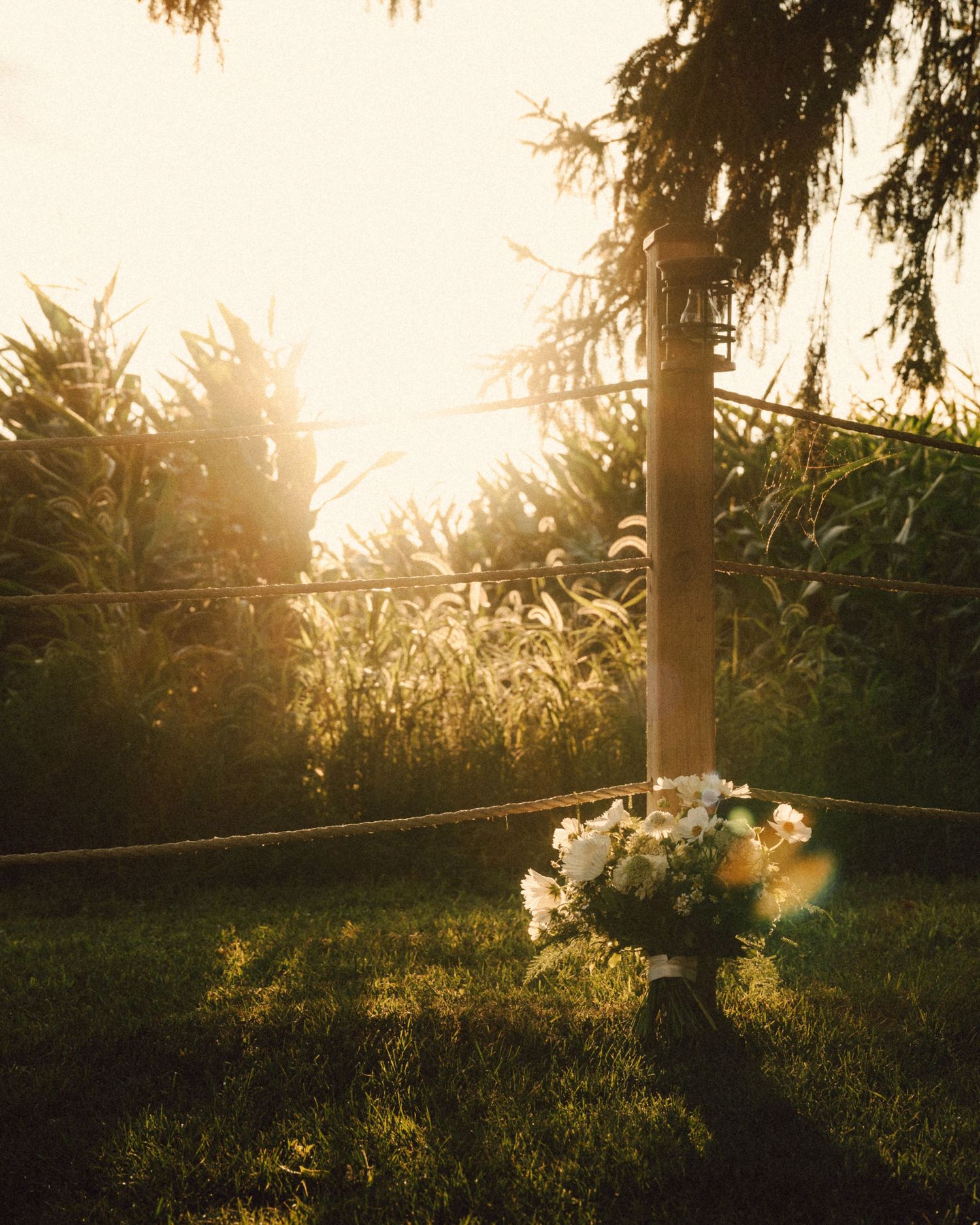 Bridal bouquet resting on stand in golden sunset garden setting.