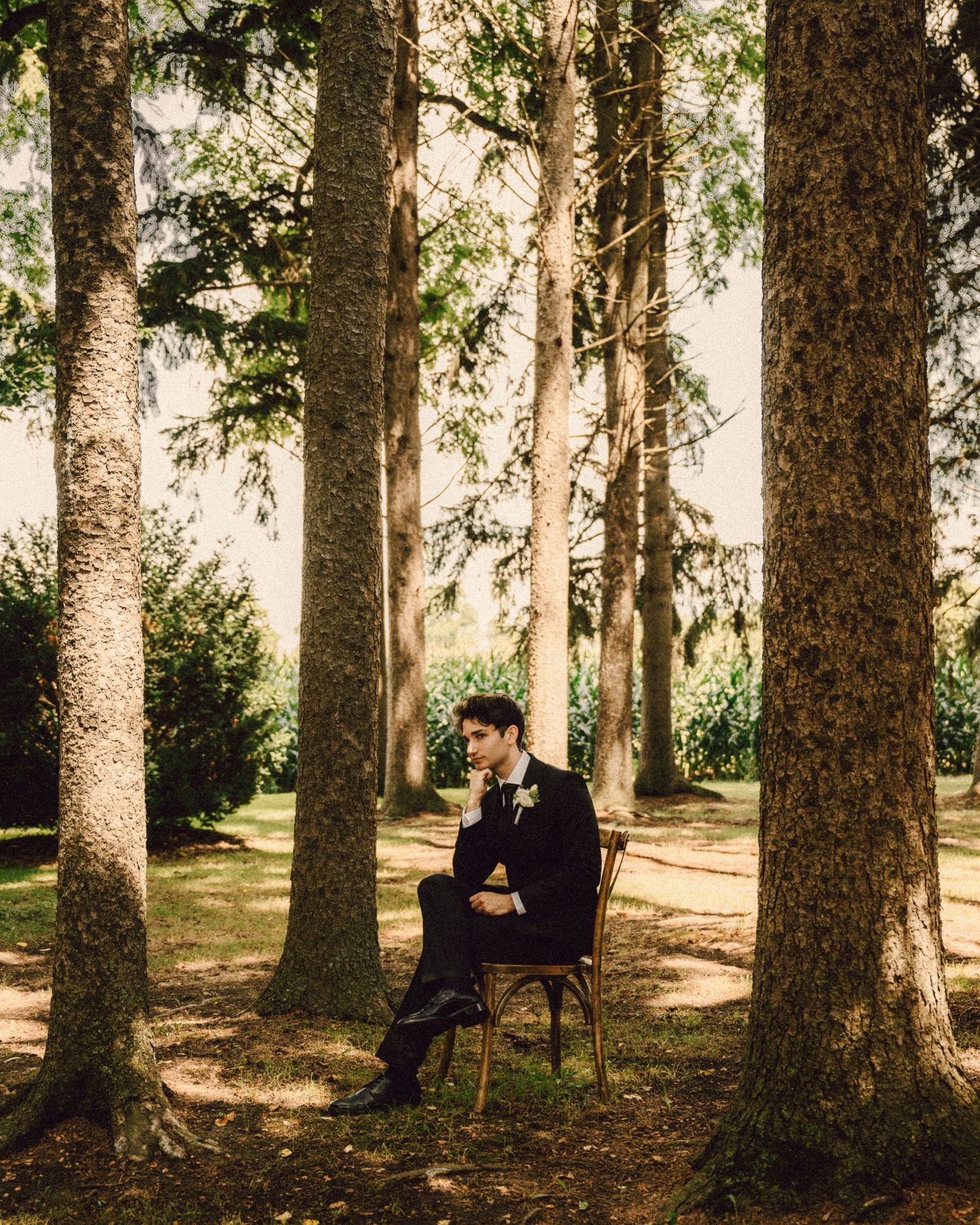 Elegant groom in black suit sits alone on a chair surrounded by tall trees in a sunlit forest setting.